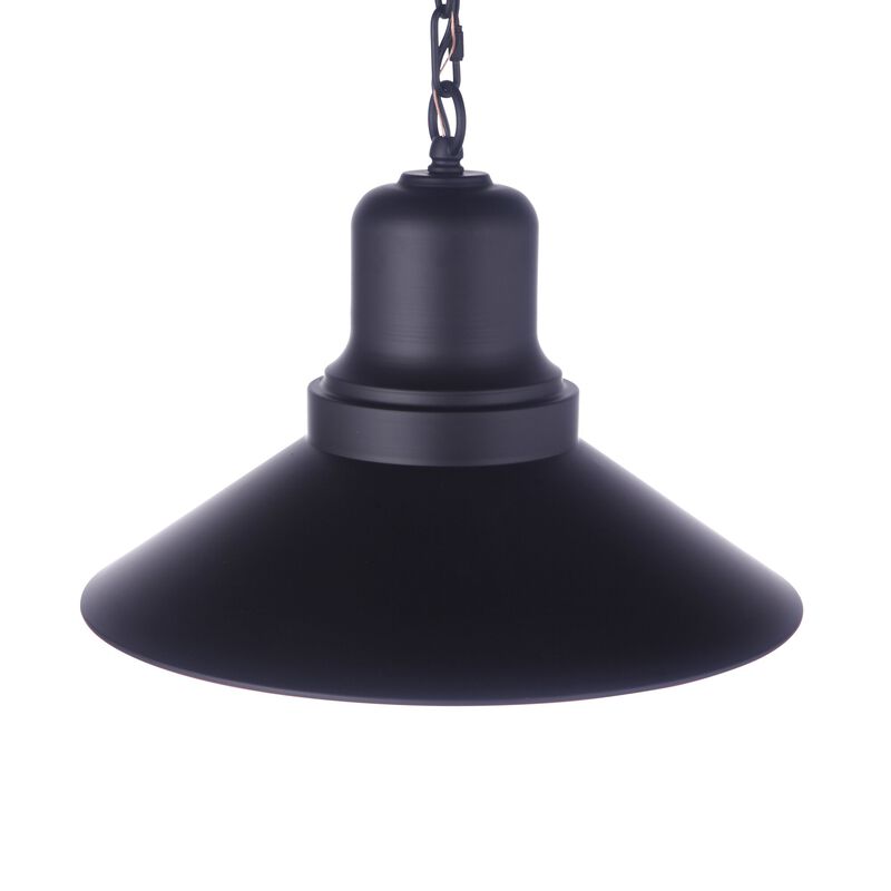 Singleton 14 Inch Outdoor Hanging Lantern by Craftmade