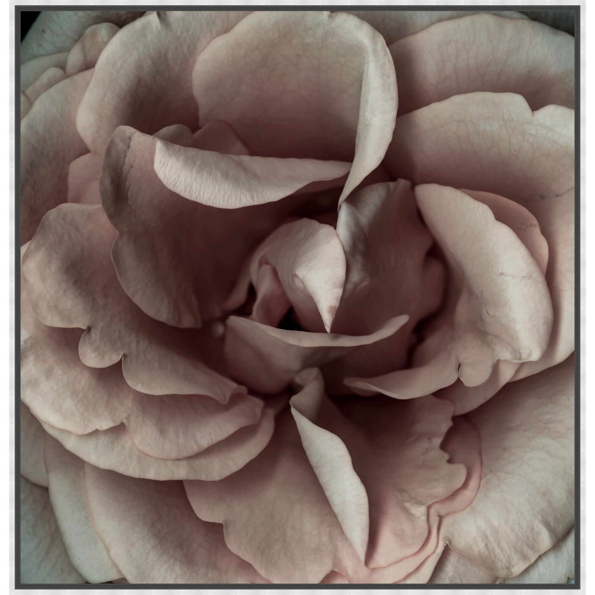 Petal Perfume Print by LEVEL57