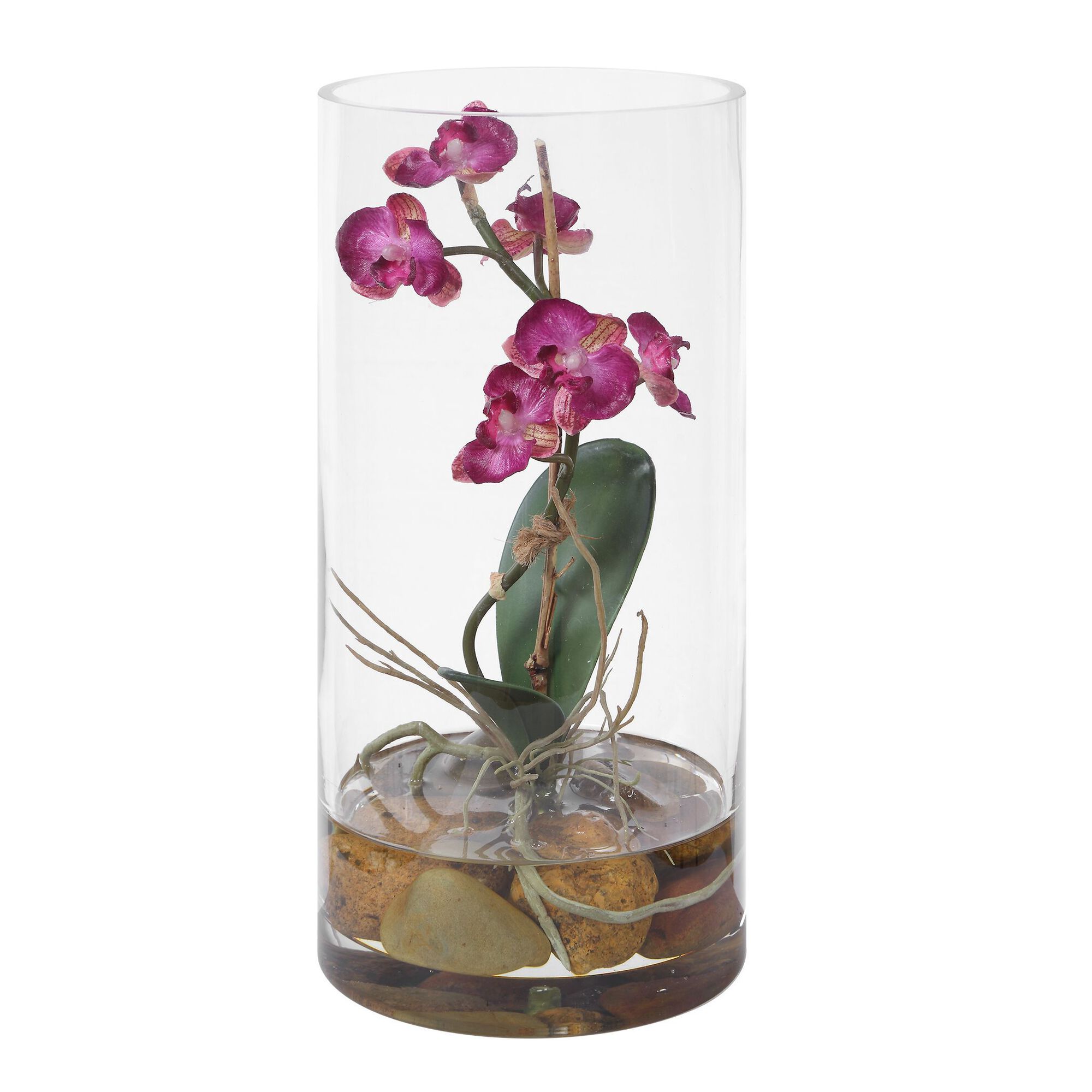 Mariposa Botanical,