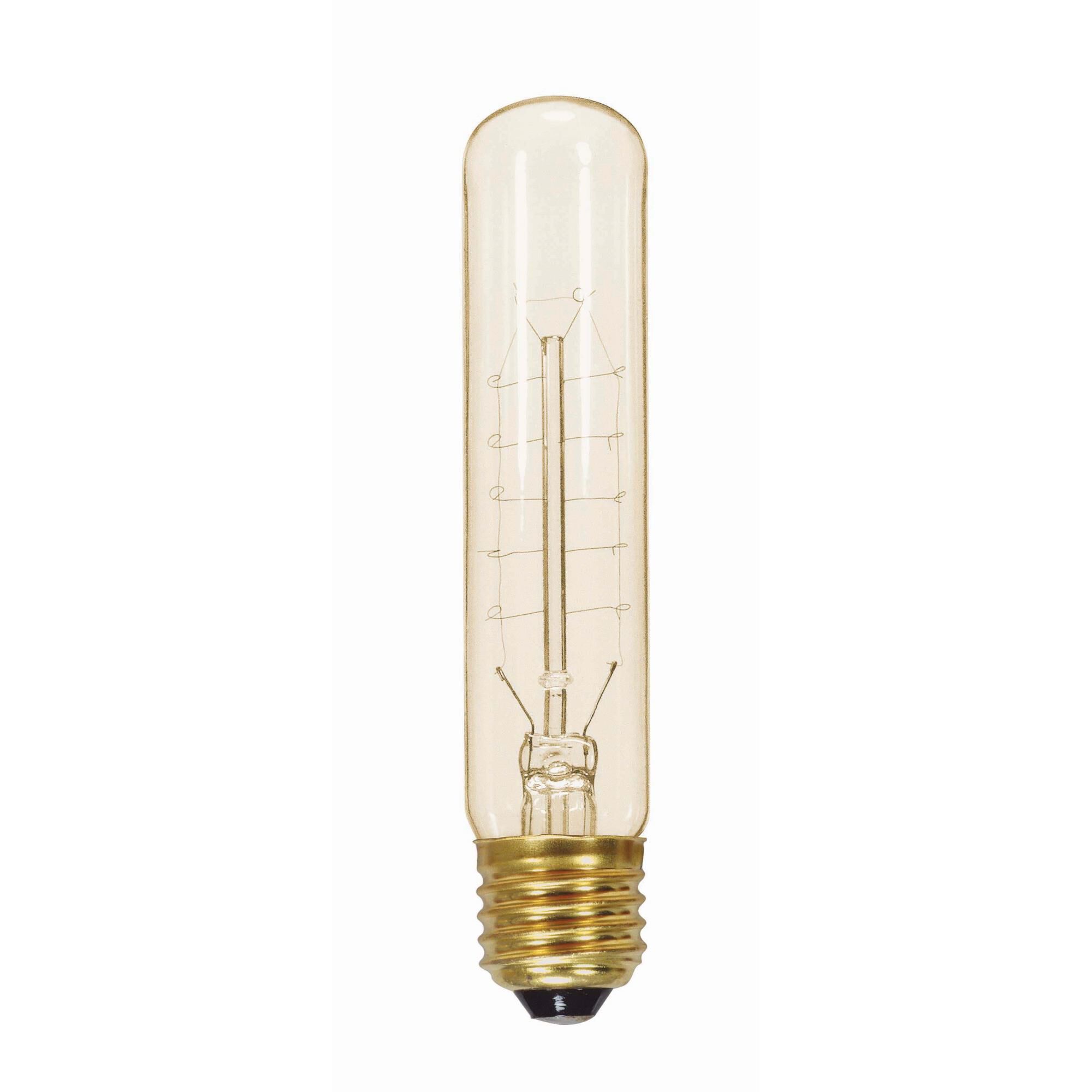 20 Watt T9 Vintage Light Bulb,