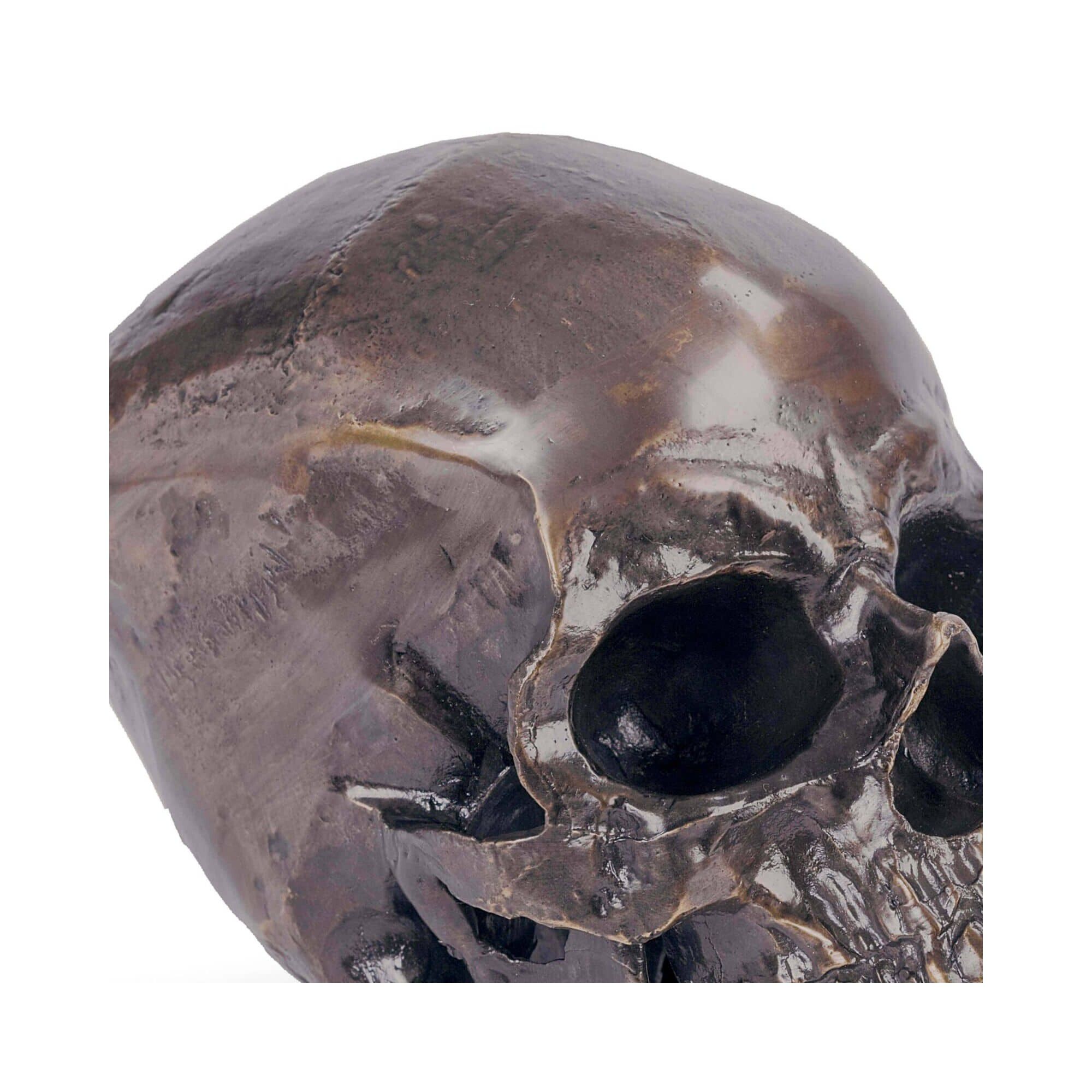 Metal Skull Other Table Accent by Regina Andrew