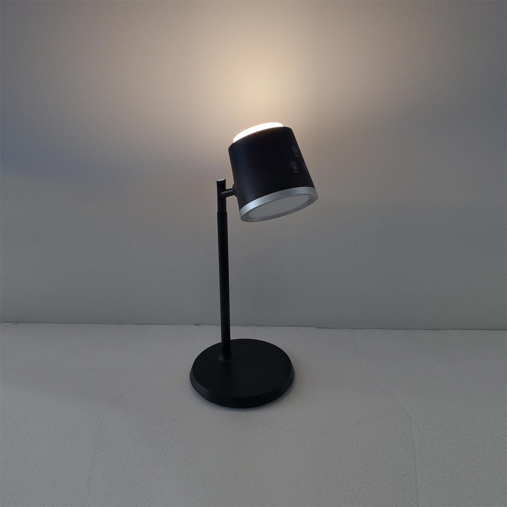 Tram 14 Inch Desk Lamp by Dainolite