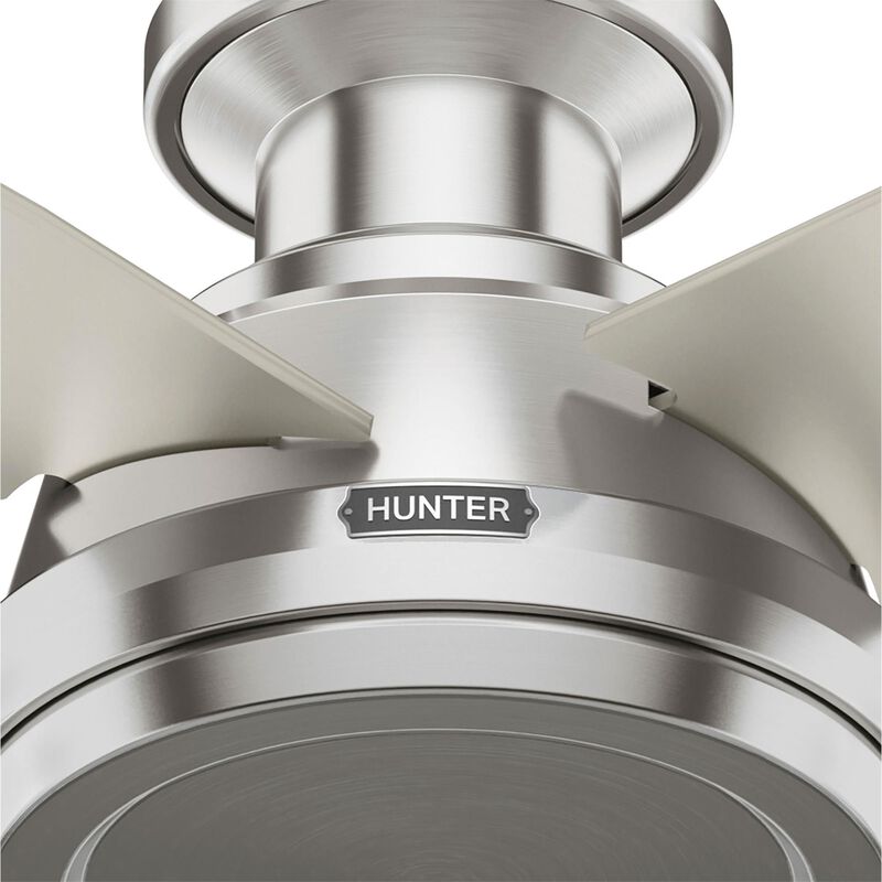 Dempsey 44 Inch Flush Mount Fan by Hunter Fan