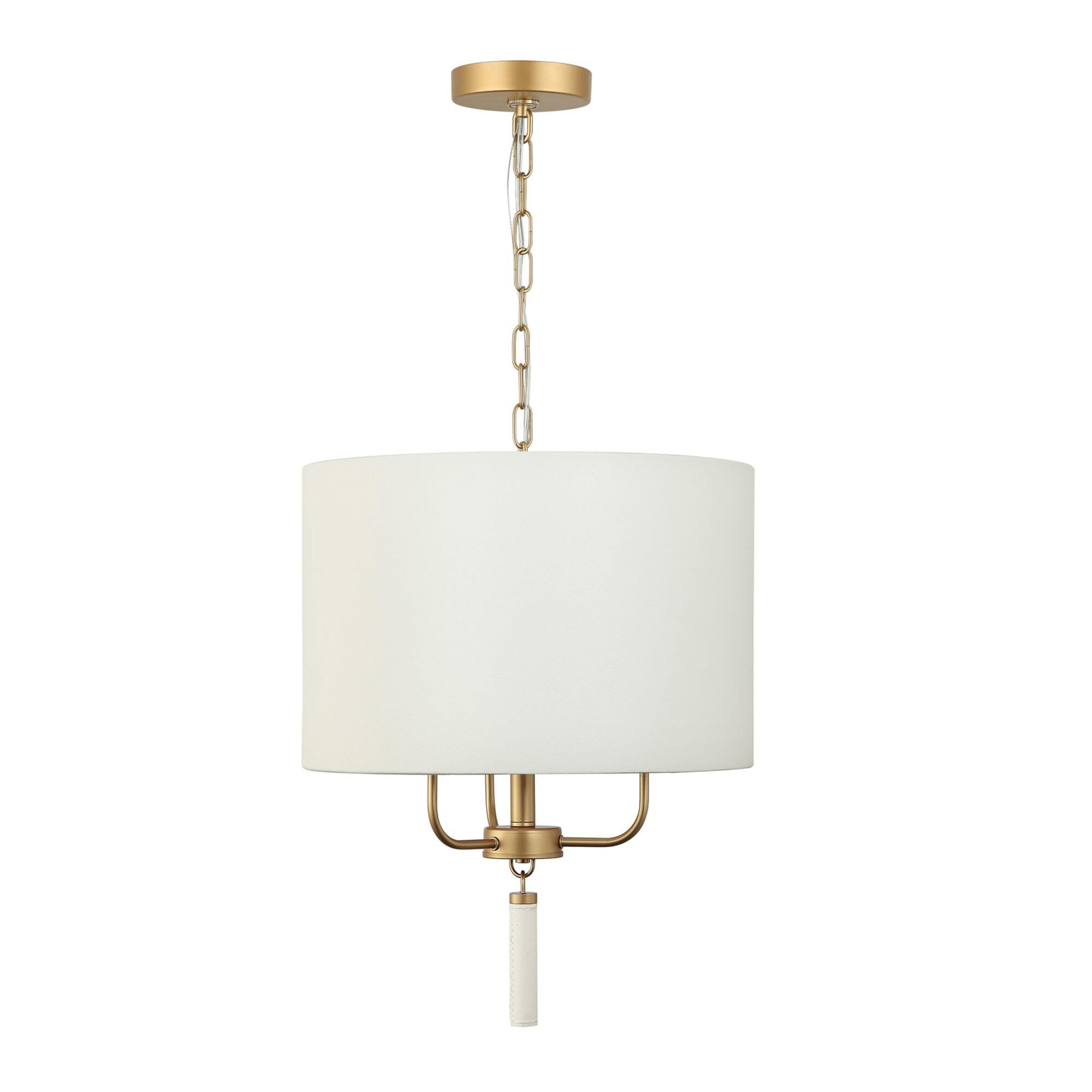 Secret Agent 18 Inch Large Pendant by Varaluz