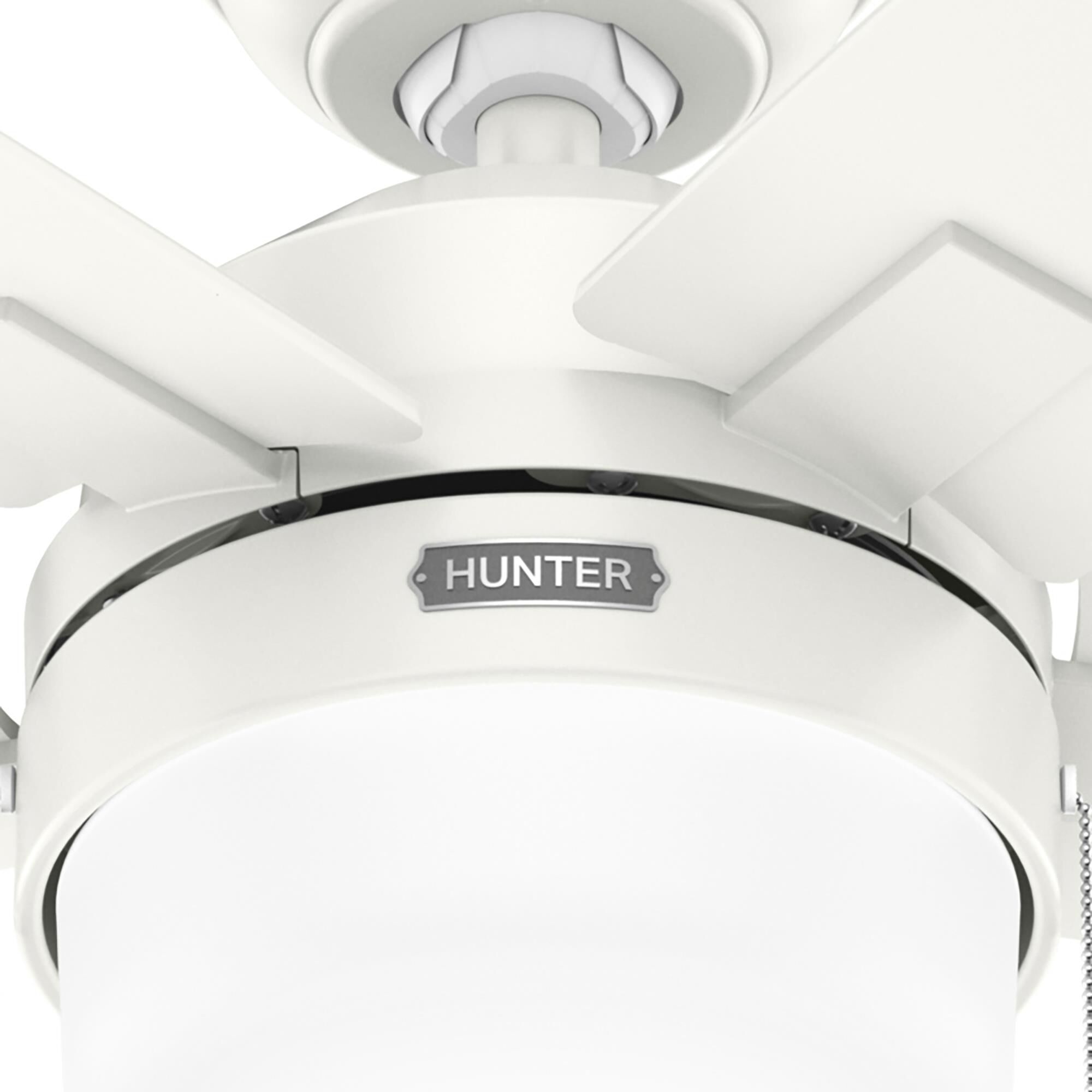 Anisten 52 Inch Ceiling Fan with Light Kit,