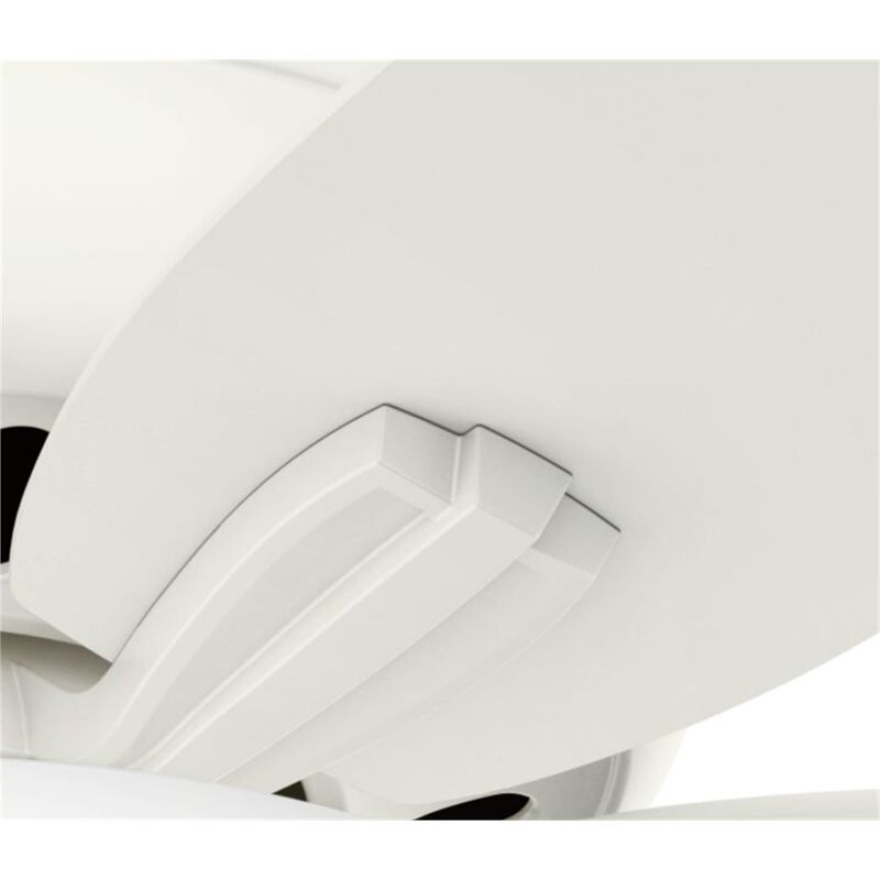 Newsome 42 Inch Flush Mount Fan with Light Kit by Hunter Fan