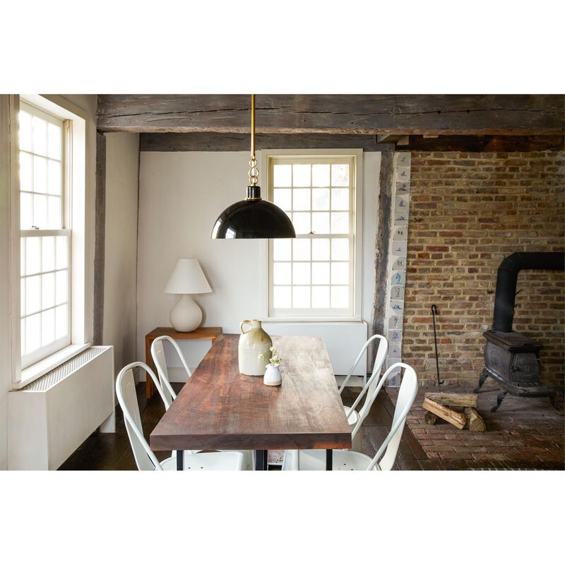 Zio and Sons Camille 16 Inch Pendant Light by Mitzi