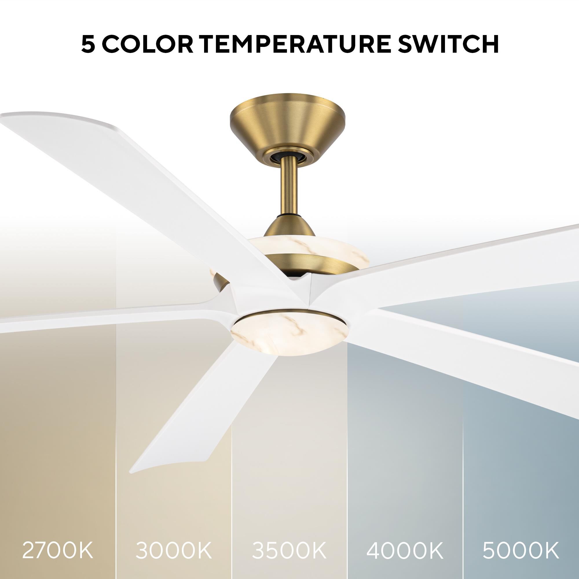 Crown Ceiling Fan by Modern Forms