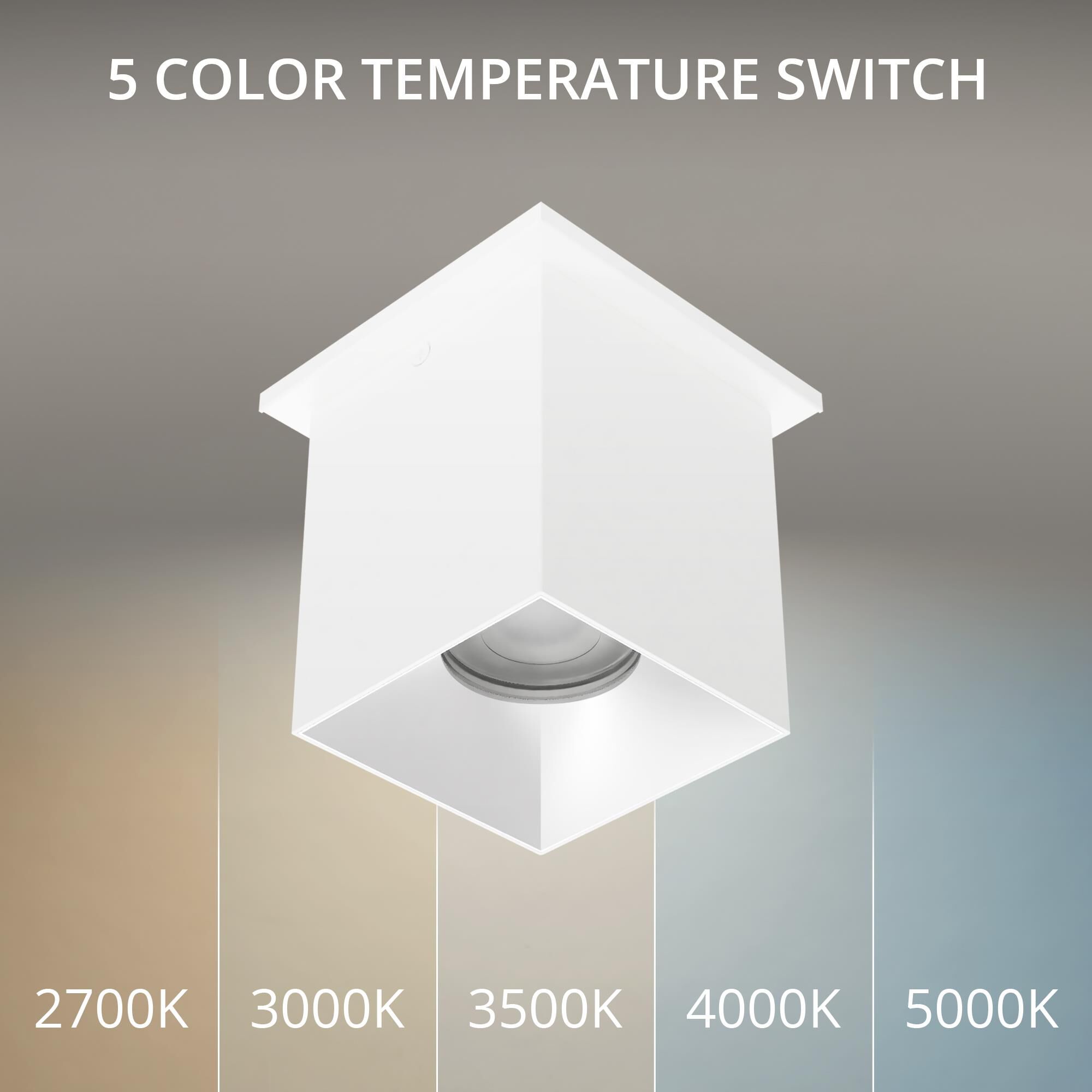 Zoron 5 Inch Outdoor Flush Mount by WAC Lighting