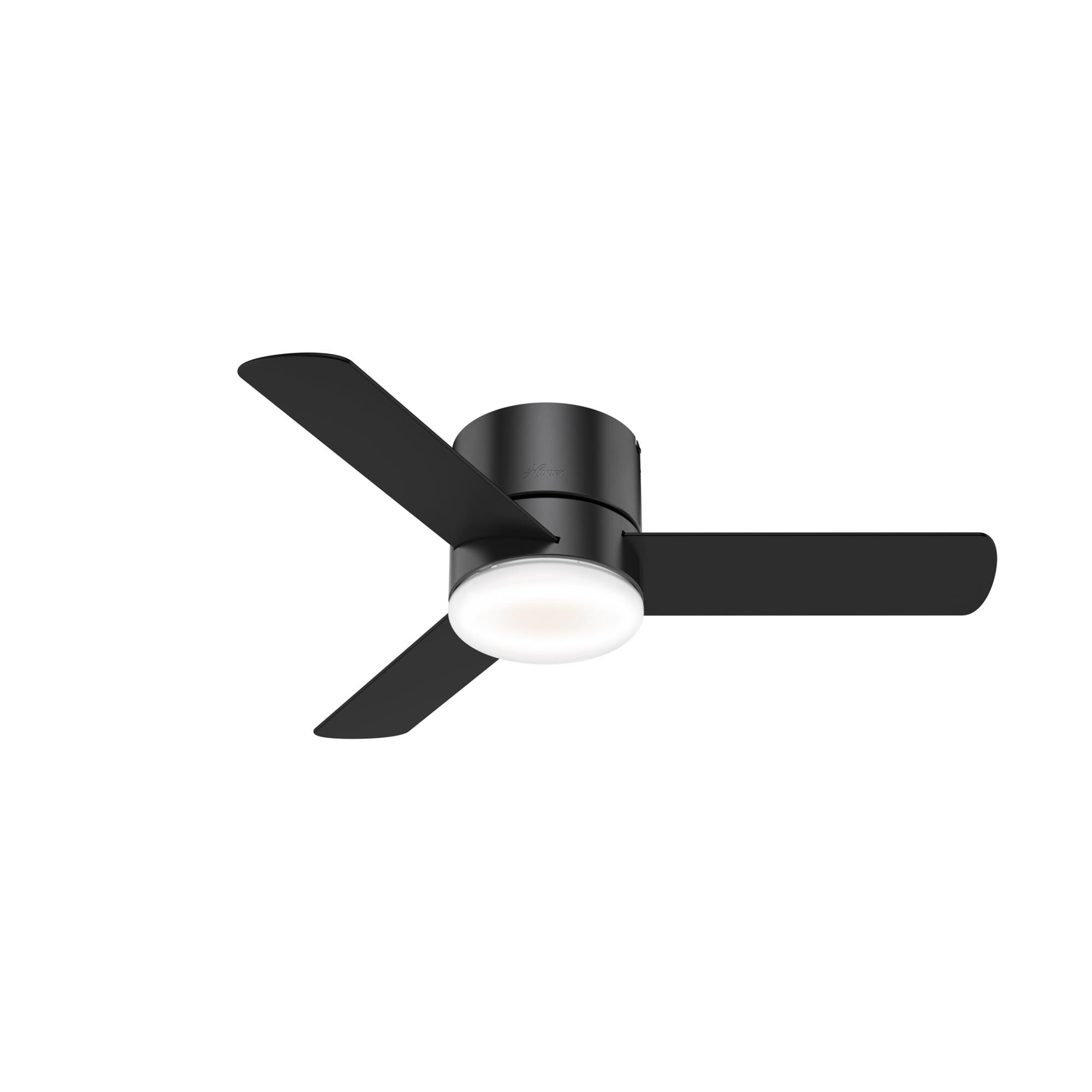 Shown in Black;Matte Black finish and Painted Cased White glass