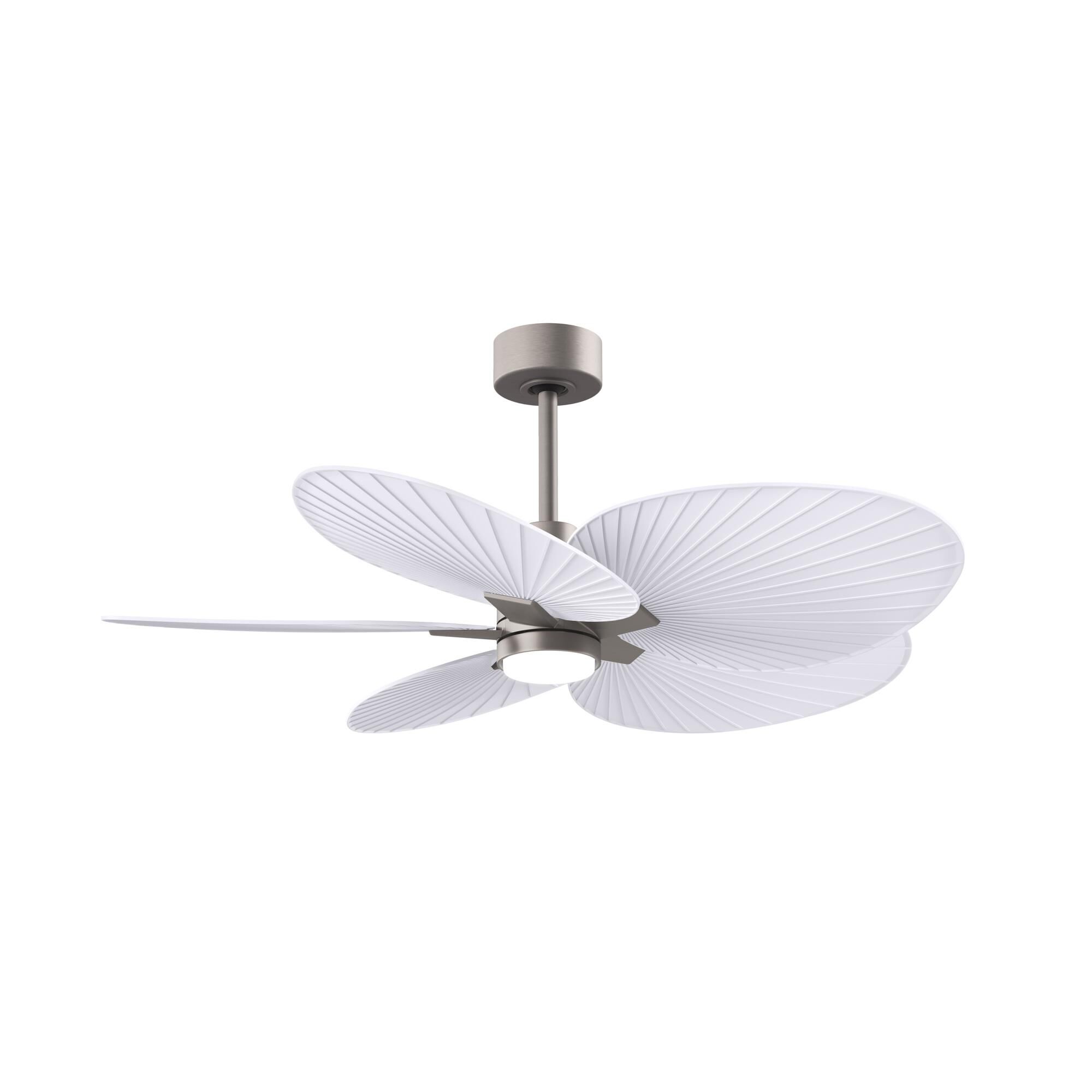 Alessandra Tropical Outdoor Rated 48 Inch Ceiling Fan with Light Kit by Matthews Fan Company