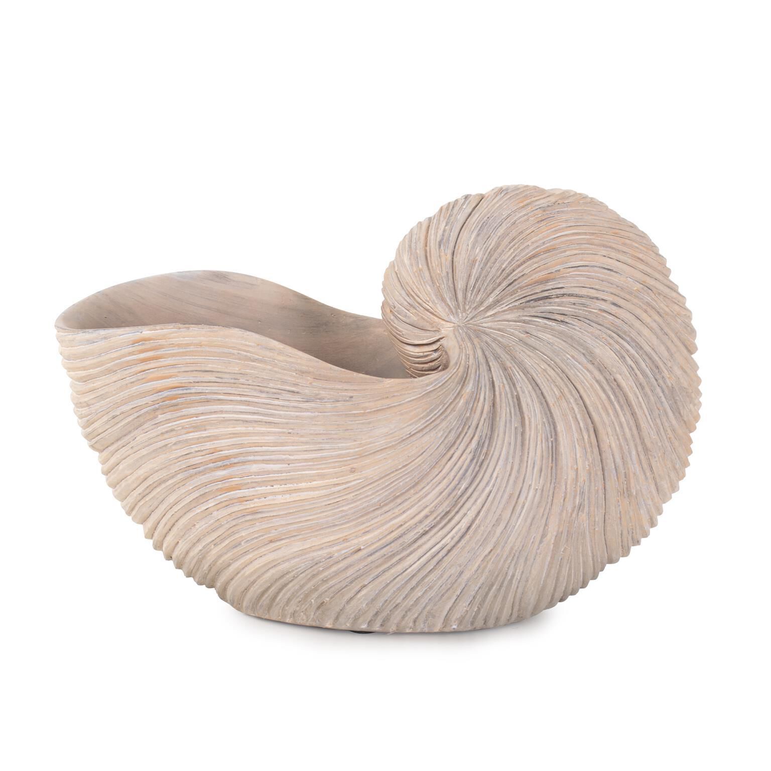 Nautilus Shell Sculpture by Howard Elliott Collection