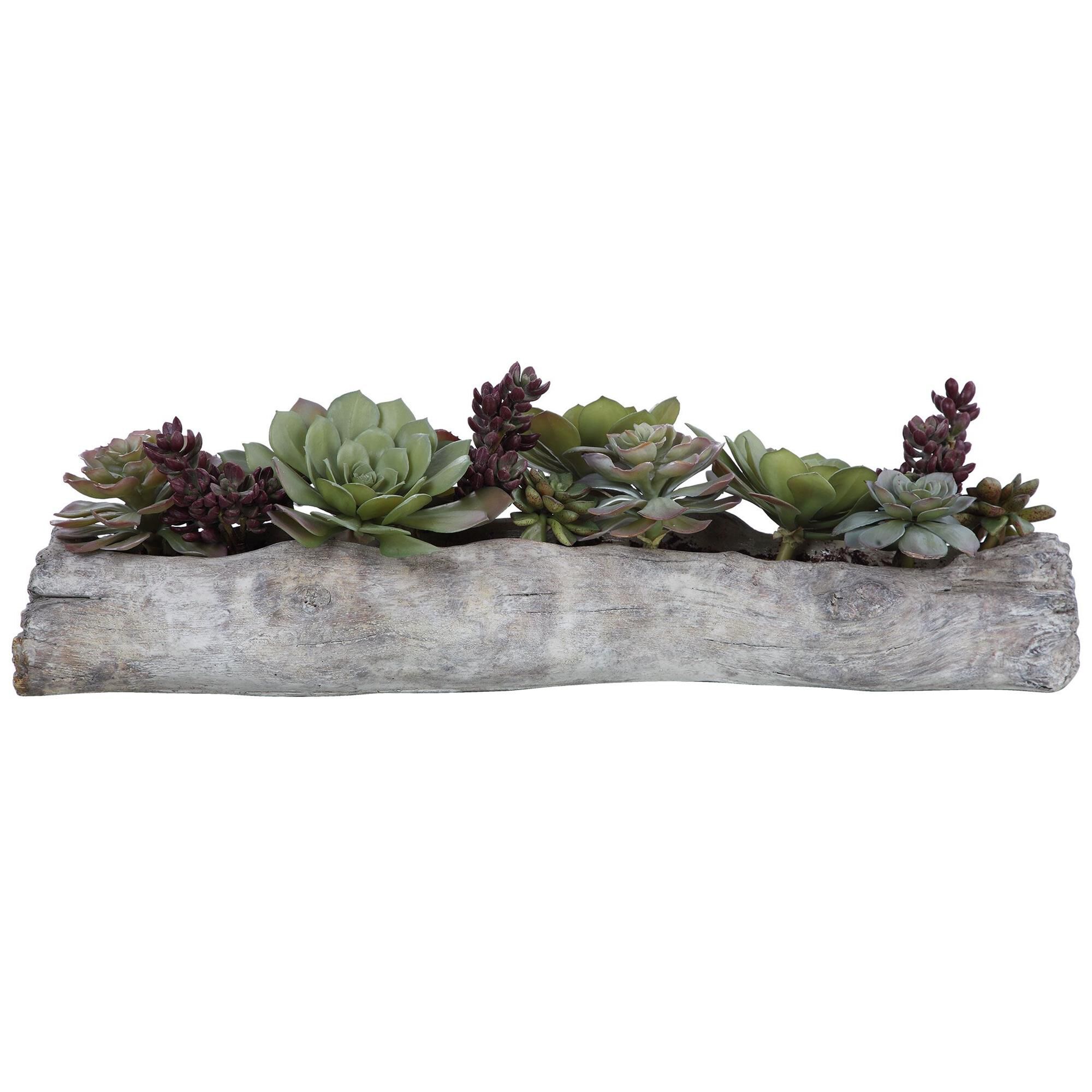 Uttermost Charita Lush Succulents Botanical by Uttermost
