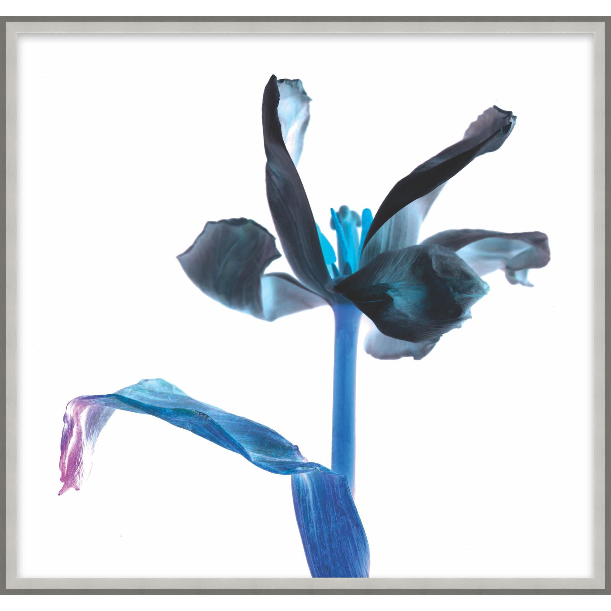 Prismatic Profile Print by LEVEL57