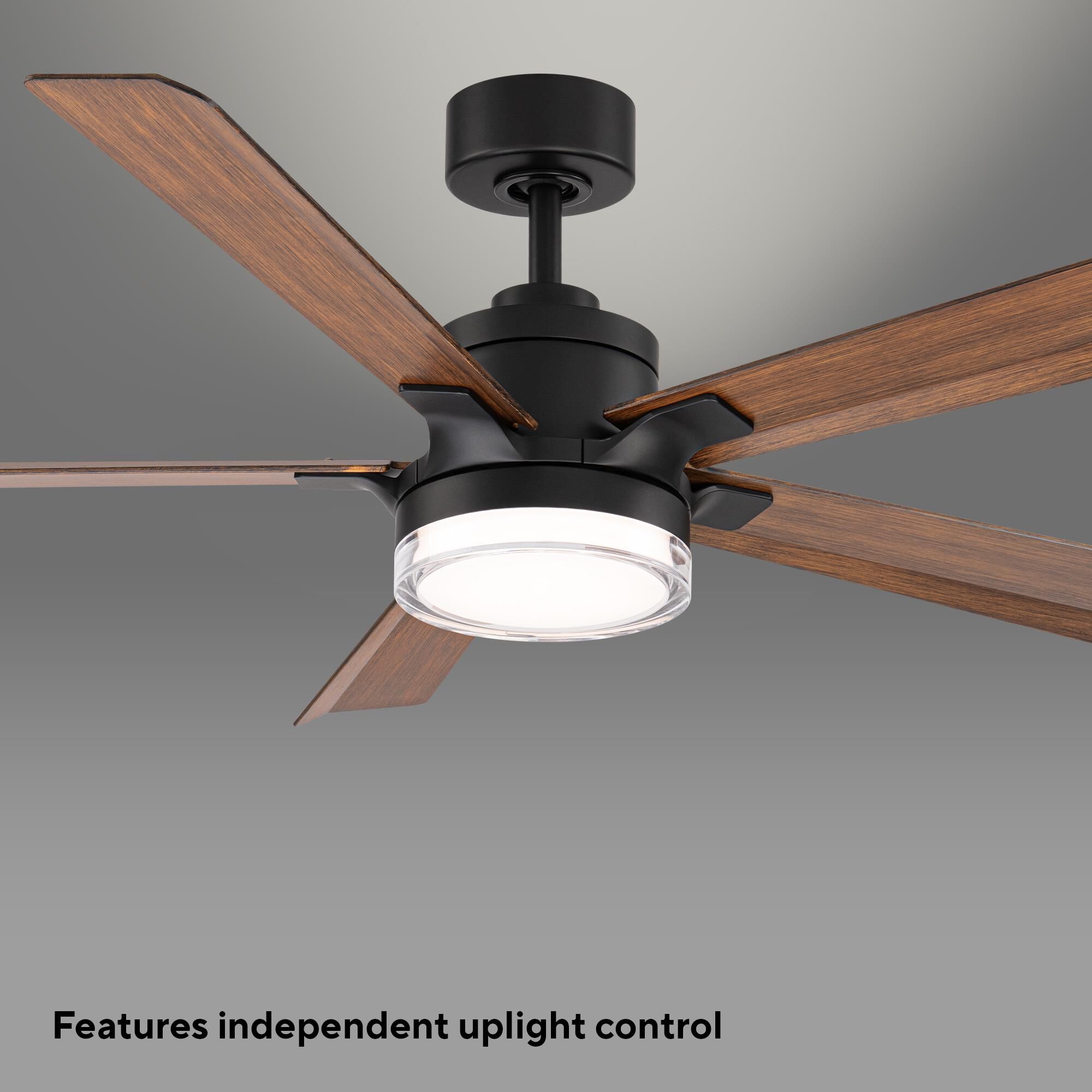 Radiant 64 Inch Ceiling Fan with Light Kit by Modern Forms