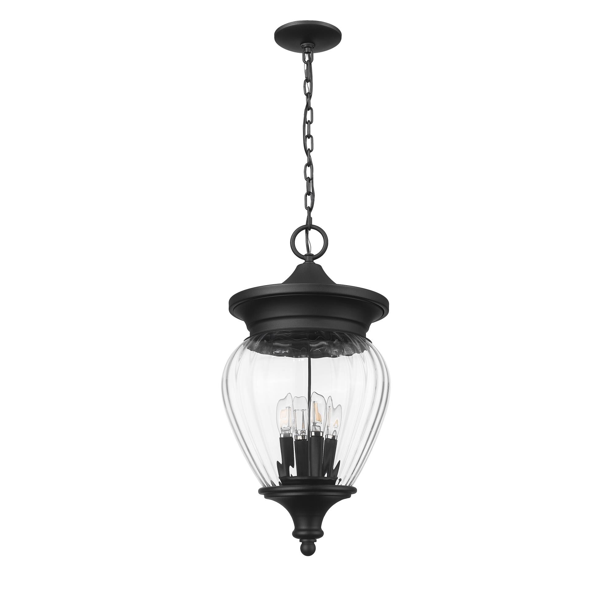 Davina 12 Inch Outdoor Hanging Lantern by Z Lite