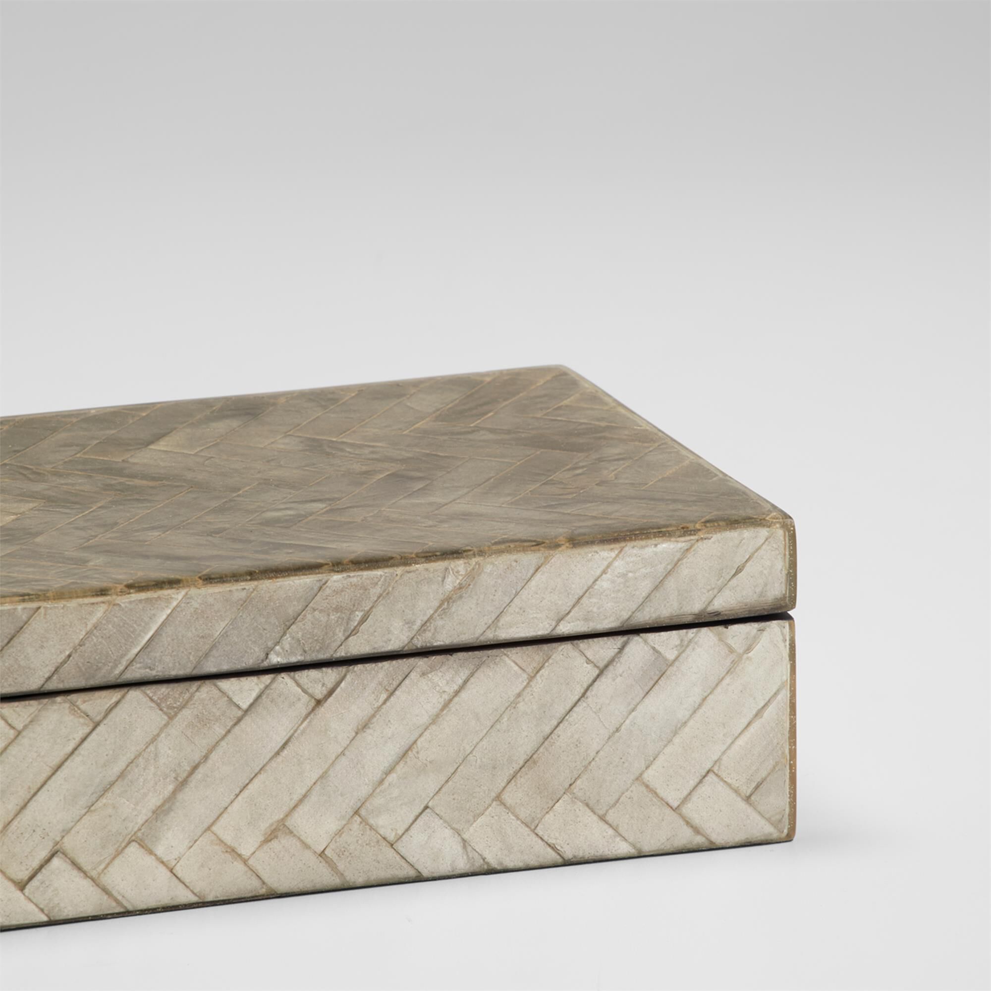 Triton 6 Inch Accent Box by Cyan Designs