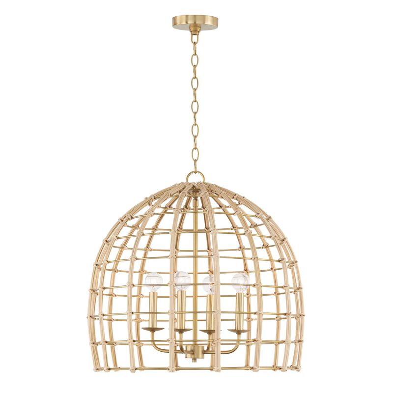 Wren Large Pendant by Capital Lighting Fixture Company