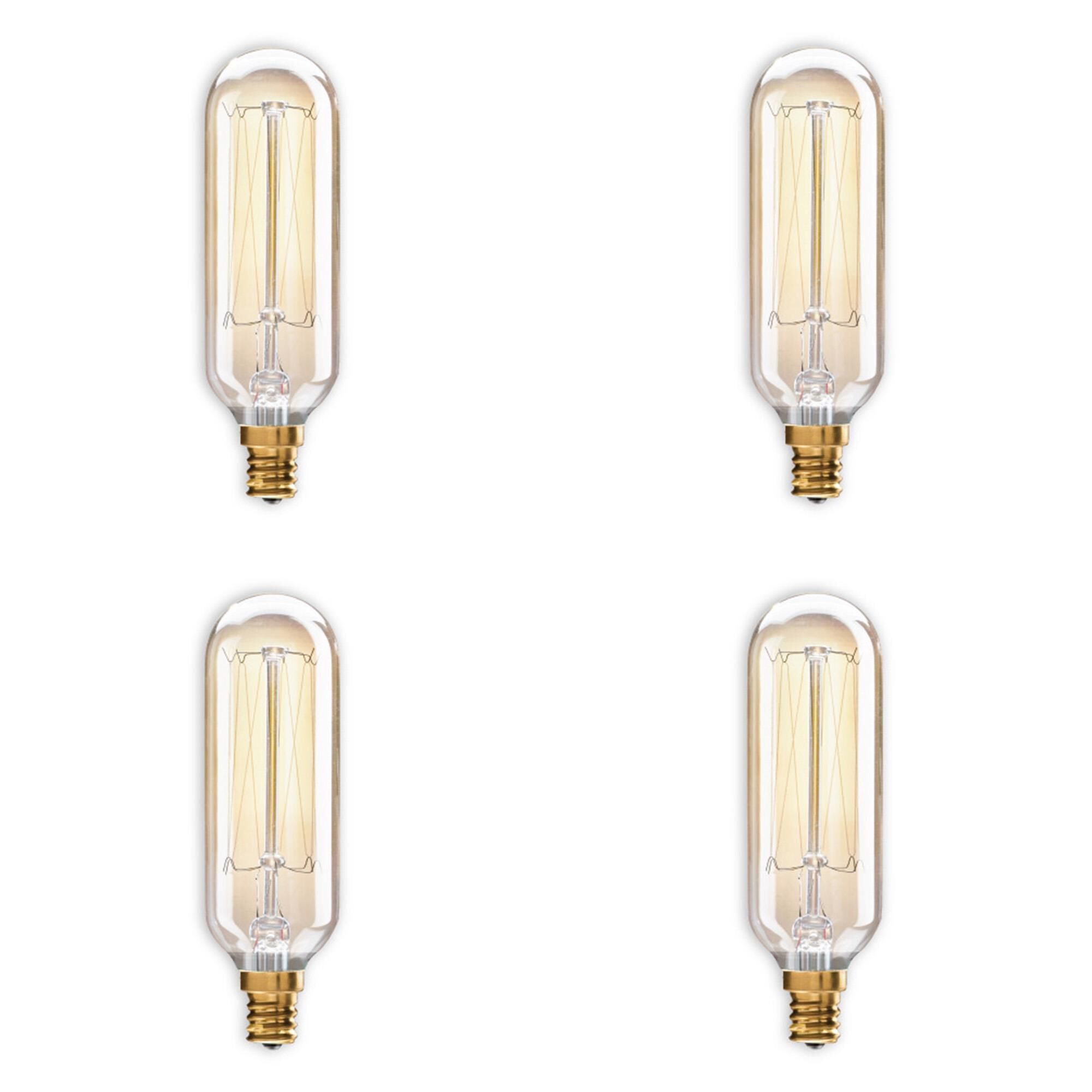 40 Watt 2200K T8 Incandescent Light Bulb by Bulbrite
