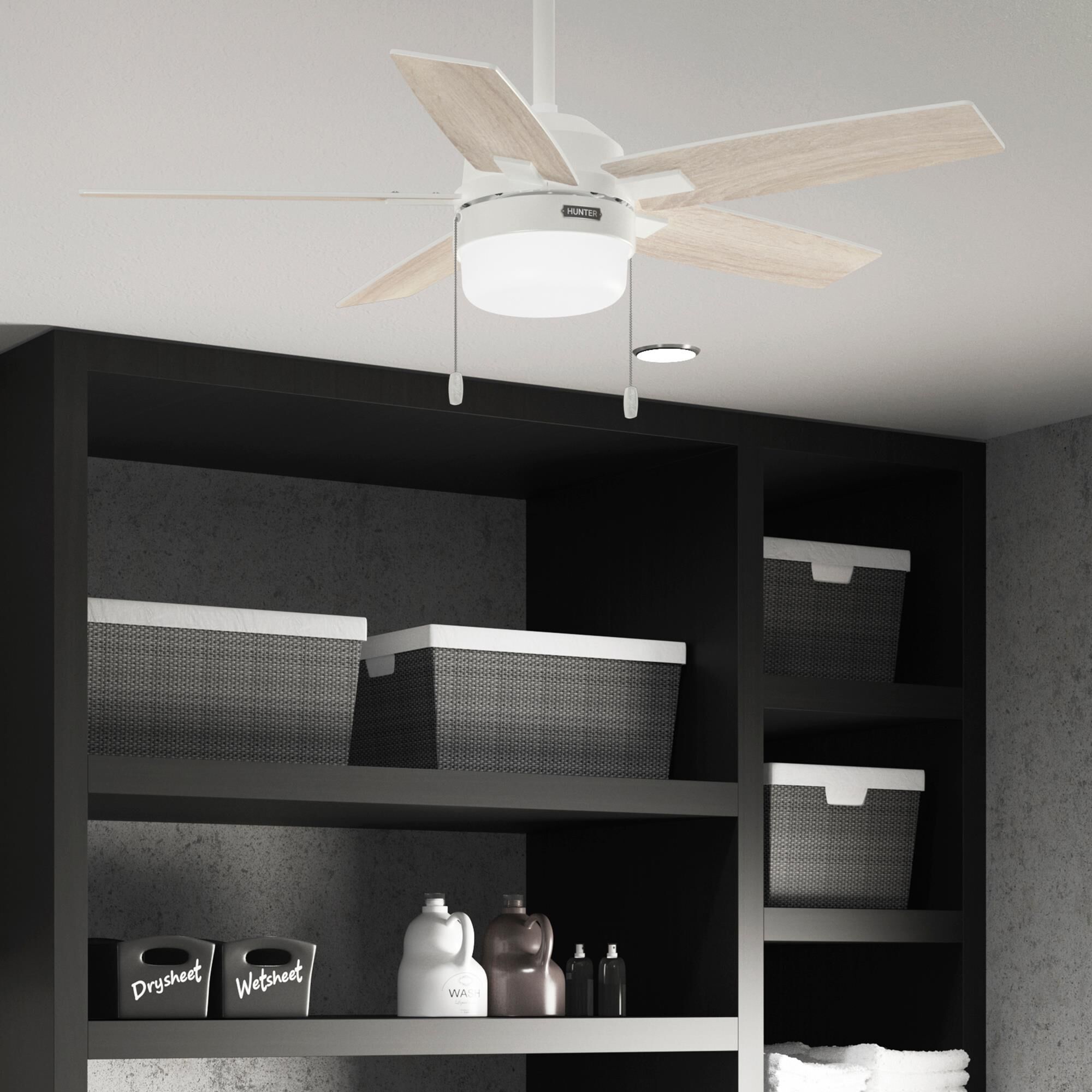 Anisten 44 Inch Ceiling Fan by Hunter Fan