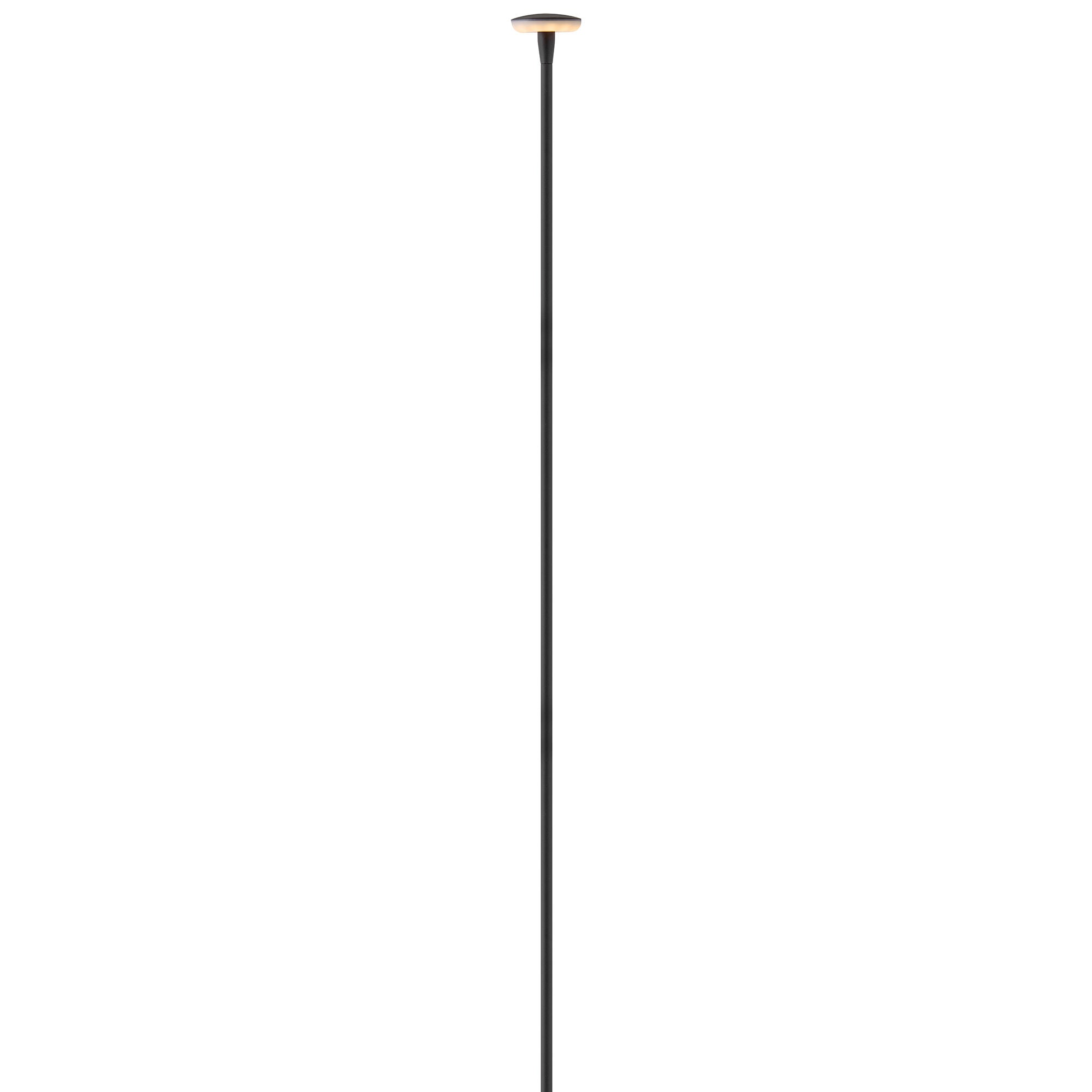Calie 36 Inch Decorative Pathway Light,