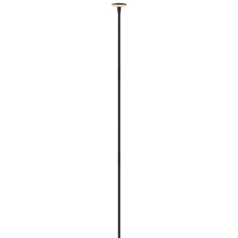 Calie 36 Inch Decorative Pathway Light by Hinkley