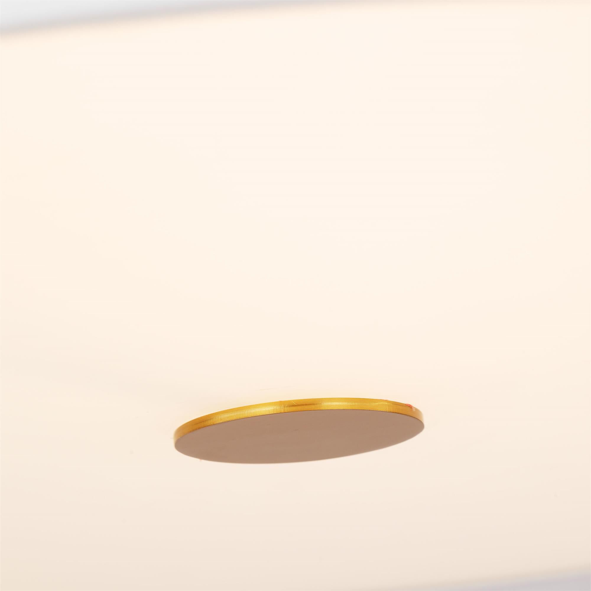 DetailImage
