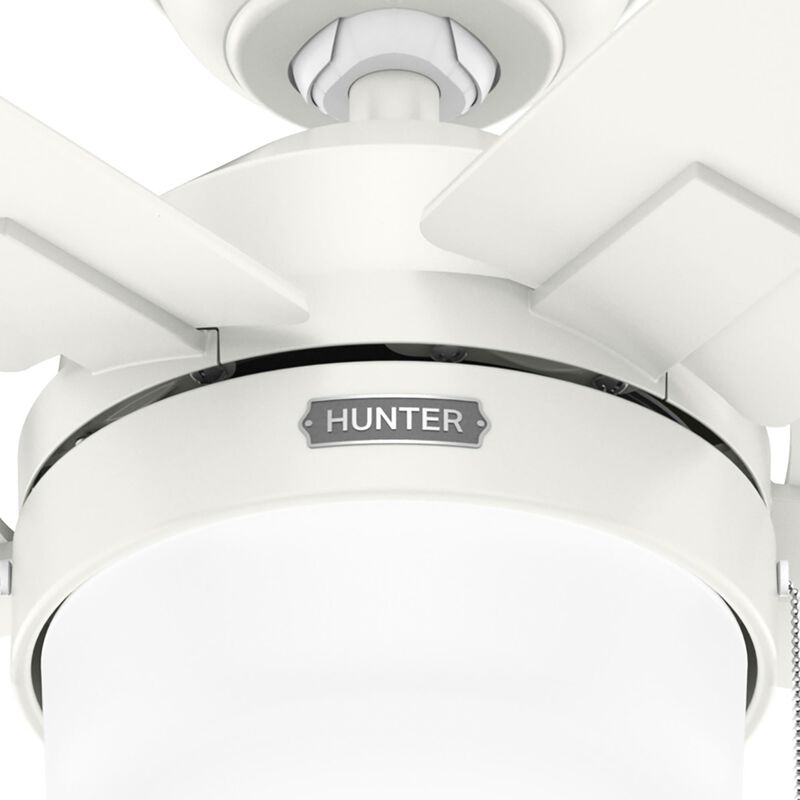 Anisten 52 Inch Ceiling Fan with Light Kit by Hunter Fan