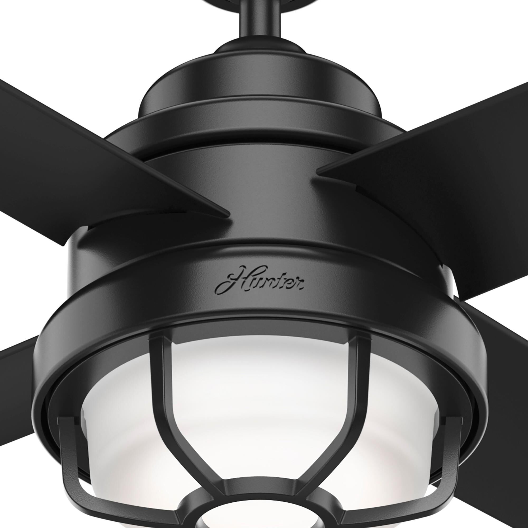 Searow Outdoor Rated 54 Inch Ceiling Fan with Light Kit by Hunter Fan