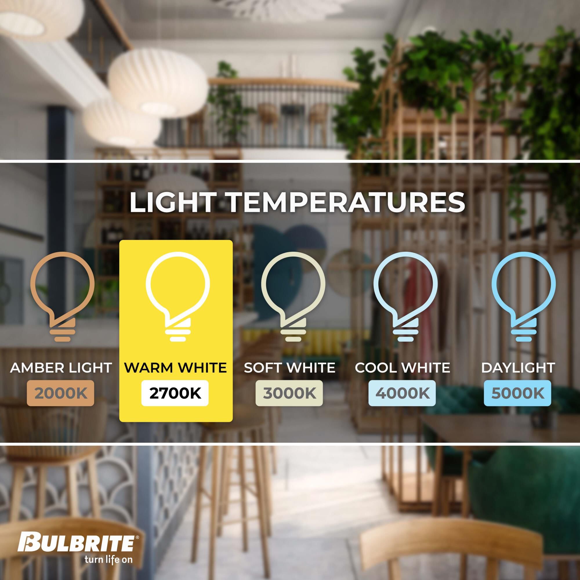 60 Watt 2700K A19 Incandescent Light Bulb by Bulbrite