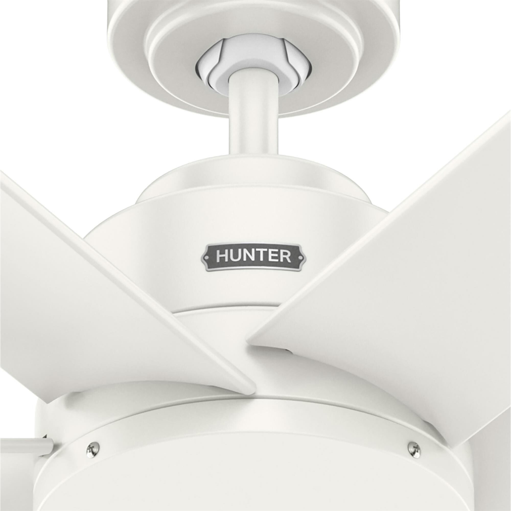Kennicott 60 Inch Ceiling Fan,