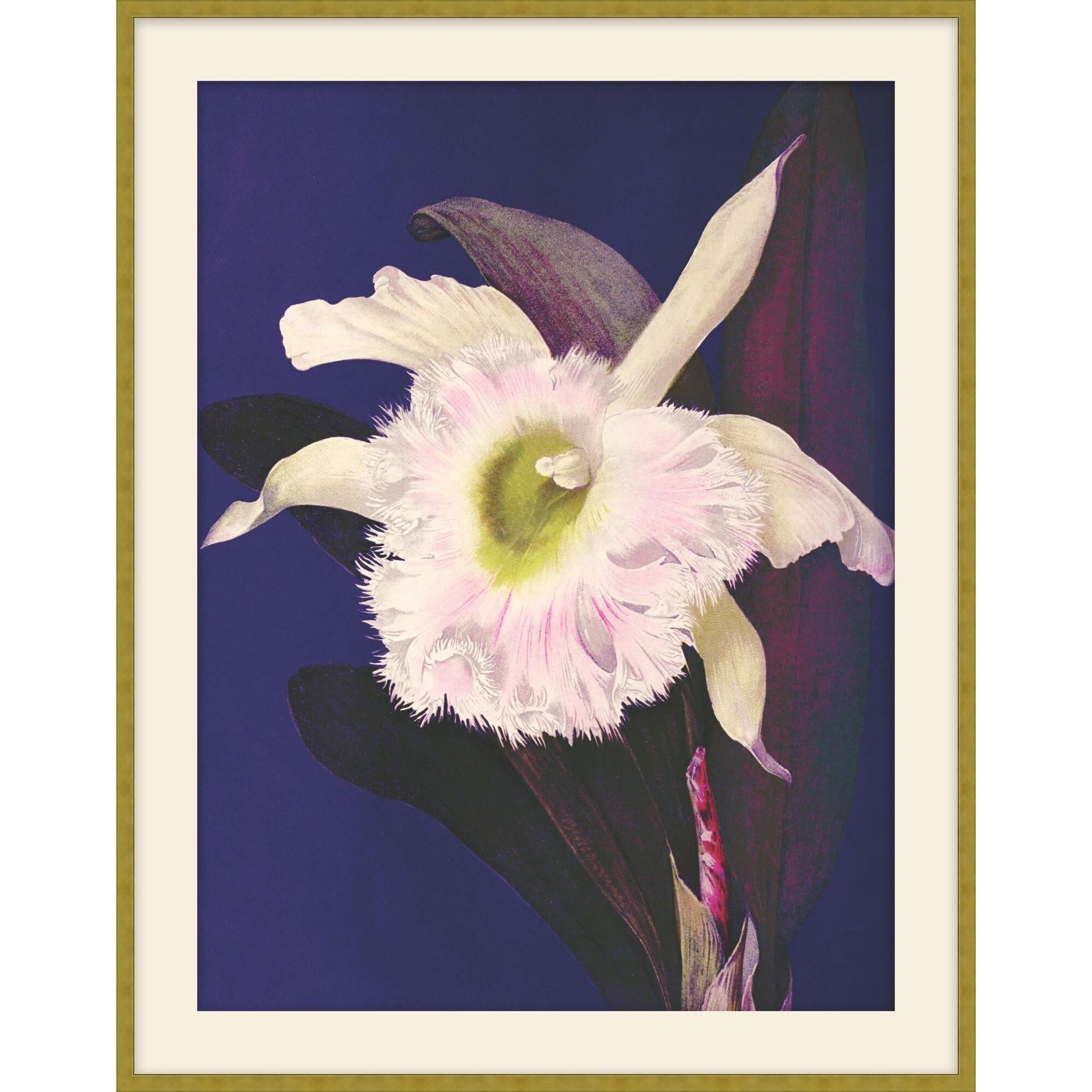 Studio L57 Nouvelle Jewel Blooms Print by LEVEL57