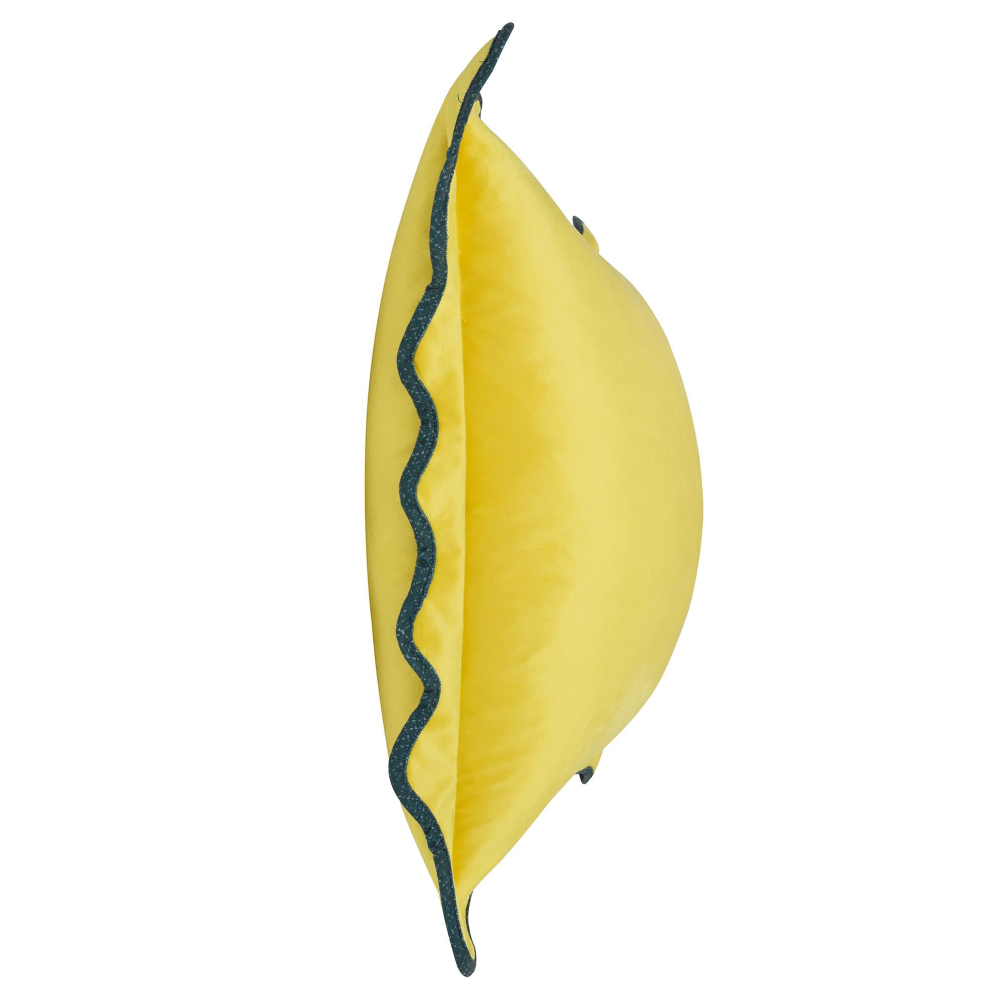 Tamara Day Sophie 22 Inch Decorative Pillow by Stylecraft