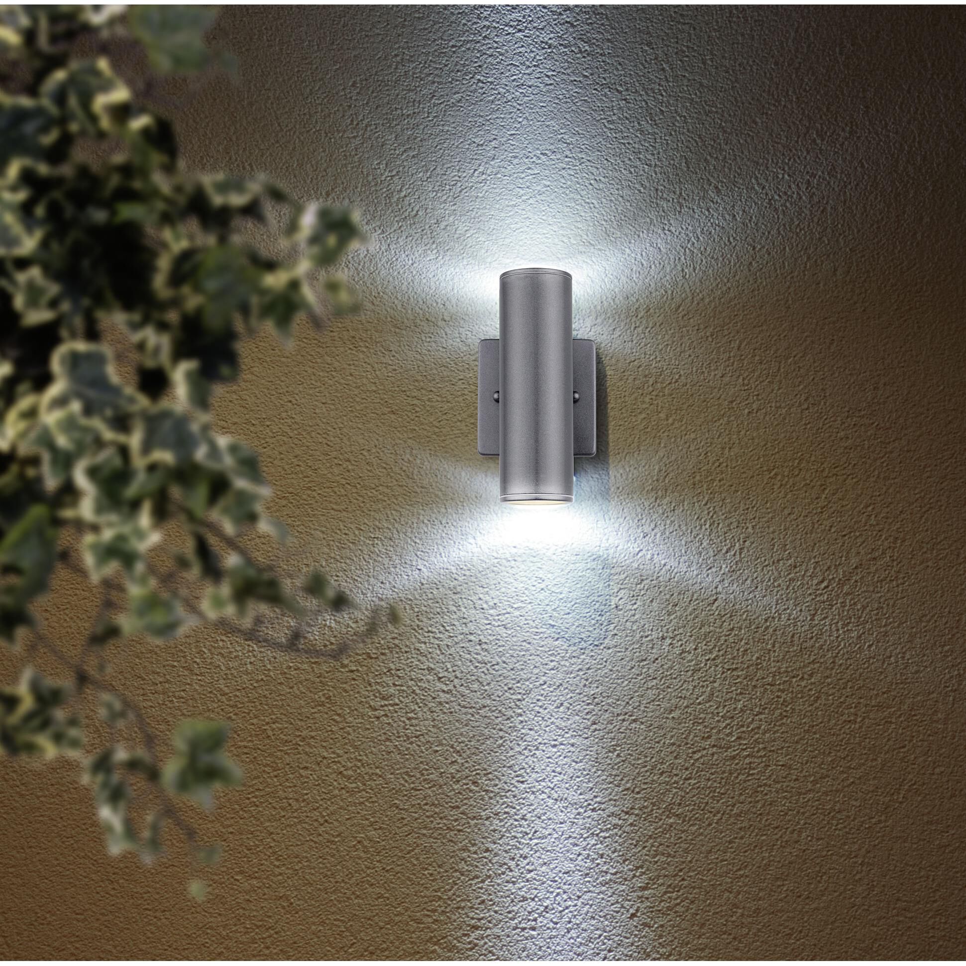 Eglo Riga 7 Inch Wall Sconce by Eglo Lighting
