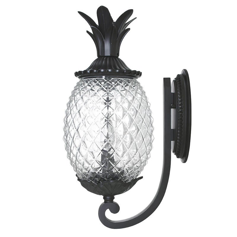 Lanai 18 Inch Tall 2 Light Outdoor Wall Light by Acclaim Lighting