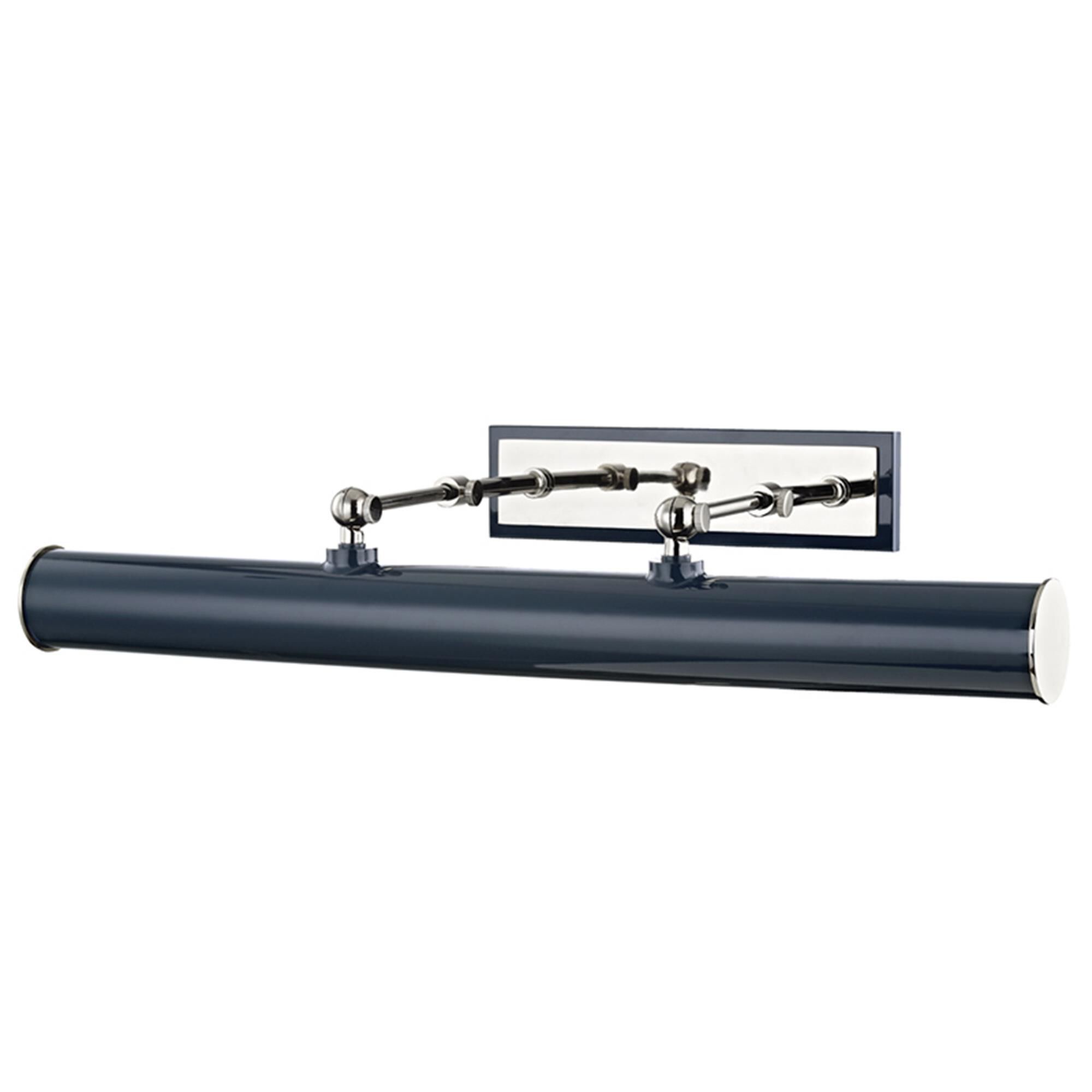 Holly 24 Inch Picture and Display Light by Mitzi