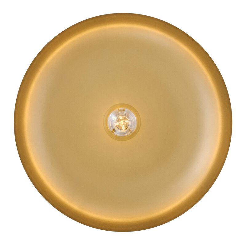 Sadie Small Pendant Light by Hinkley