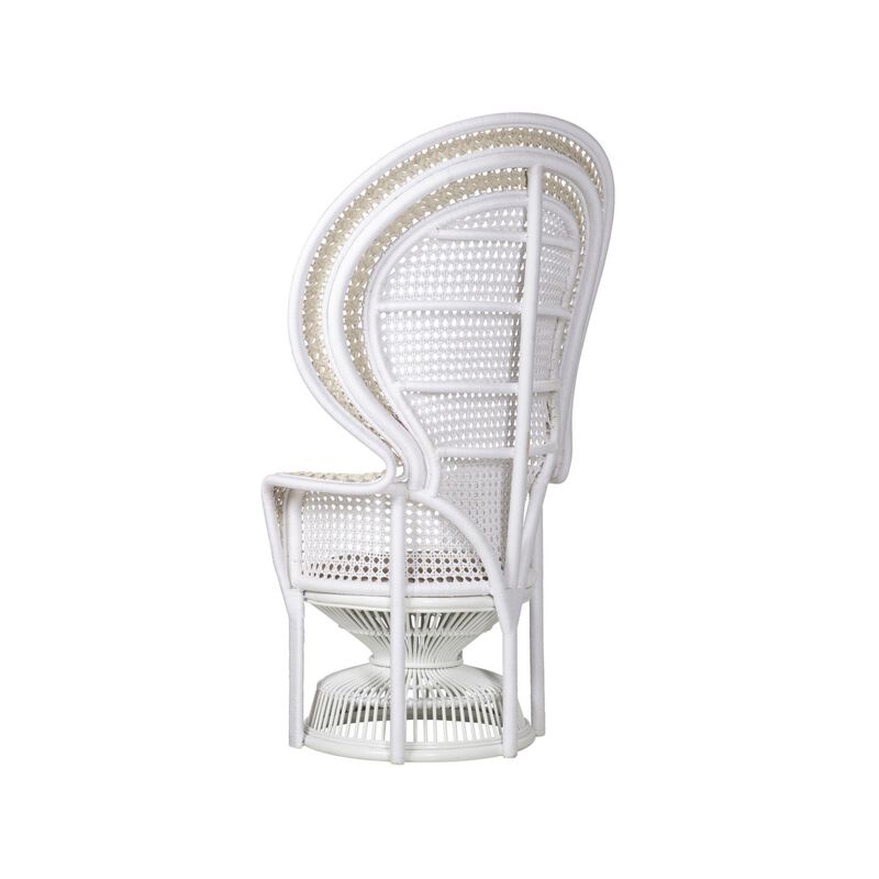 Emanuelle Accent Chair by Currey & Company