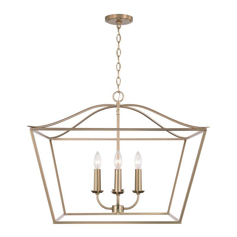 Grady 38 Inch Cage Pendant by Capital Lighting Fixture Company