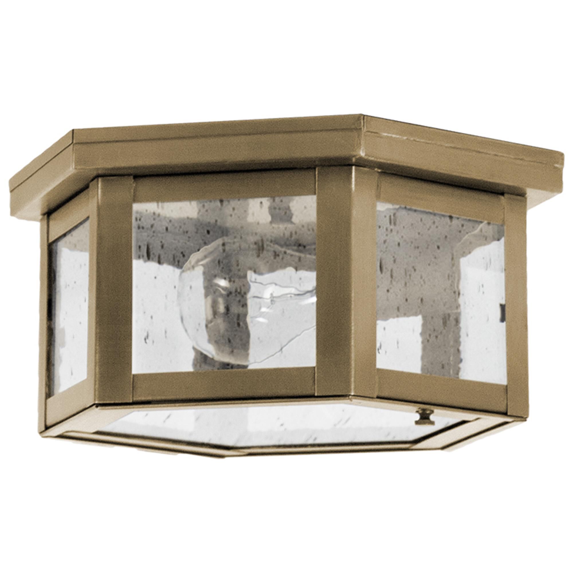Williams 10 Inch Outdoor Flush Mount,