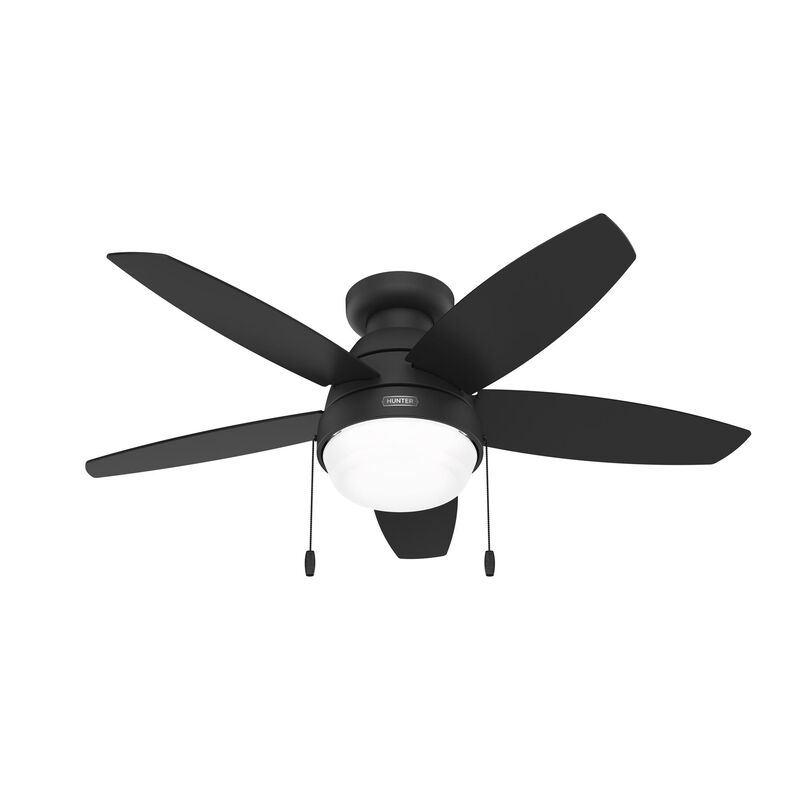 Lilliana 44 Inch Ceiling Fan with Light Kit by Hunter Fan