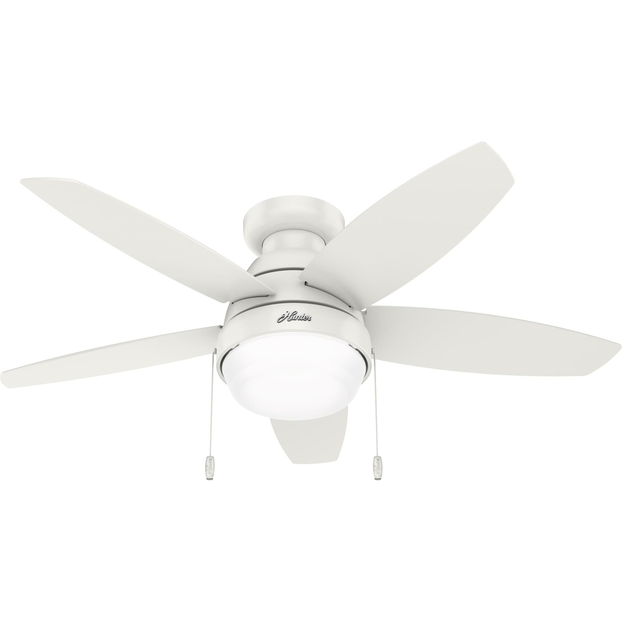 Lilliana 44 Inch Ceiling Fan with Light Kit by Hunter Fan
