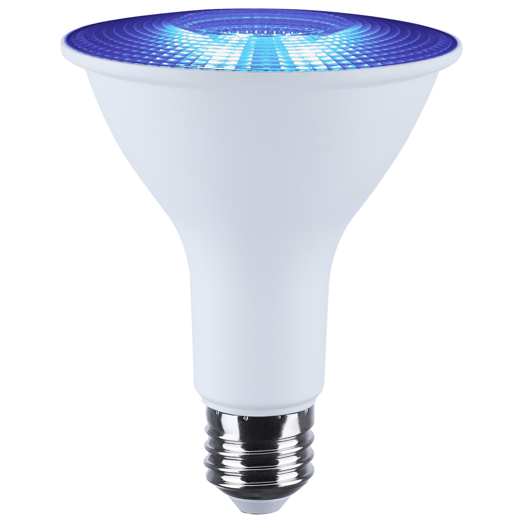 Dimmable 13 Watt 2700K LED Light Bulb,
