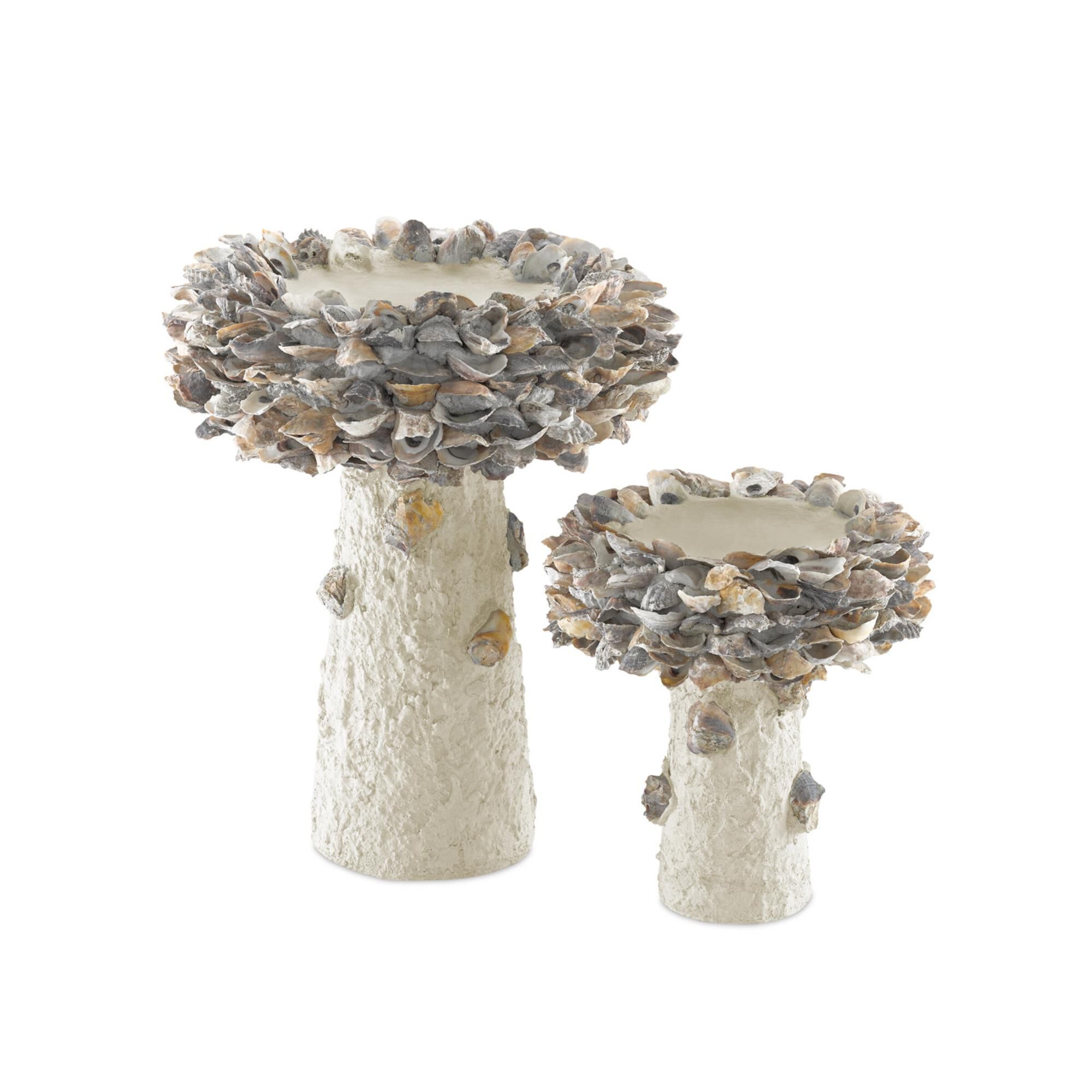 Oyster Shell Medium Bird Bath Other Home Accent,