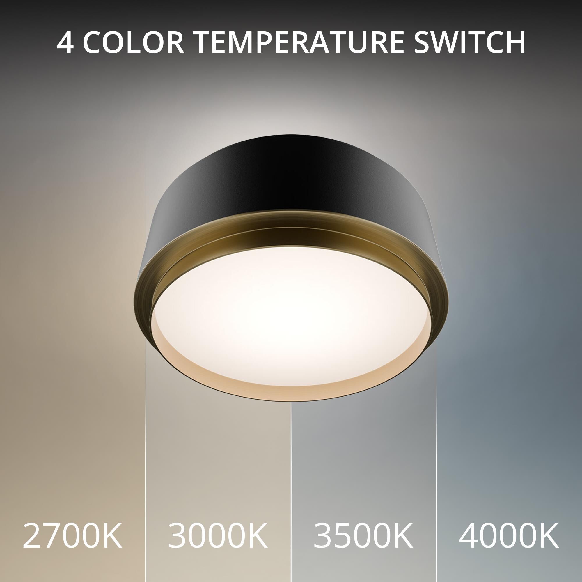 Salvo 9 Inch Flush Mount by dweLED