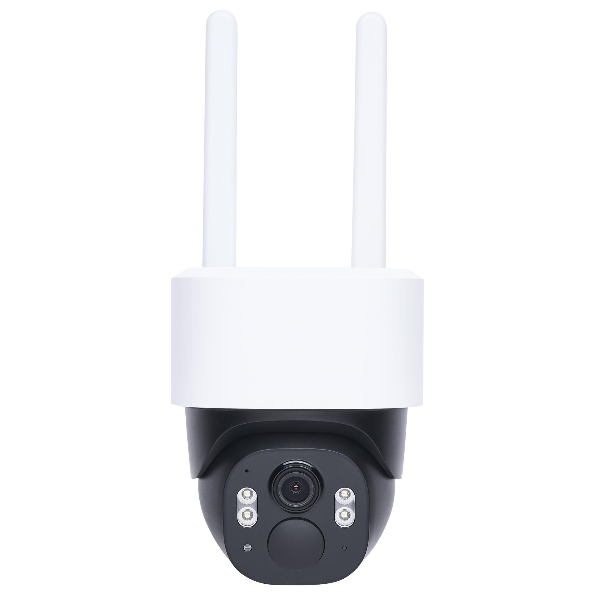 Starfish  Landscape Specialty Light by Nuvo Lighting