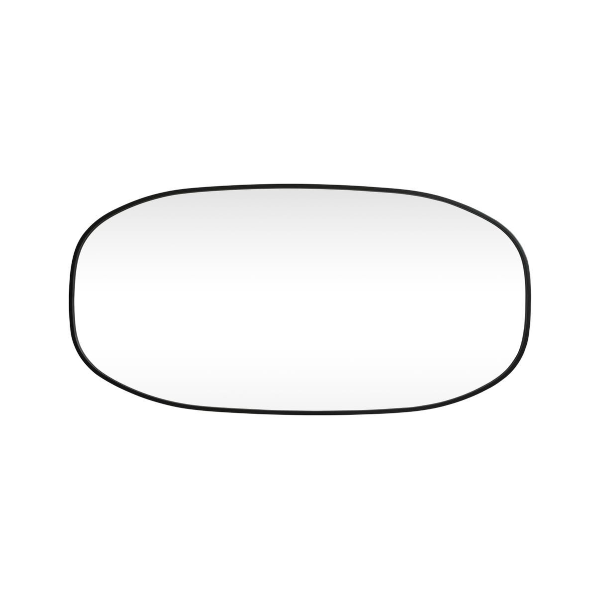 Brynn 48 Inch Decorative Mirror by Elegant Decor