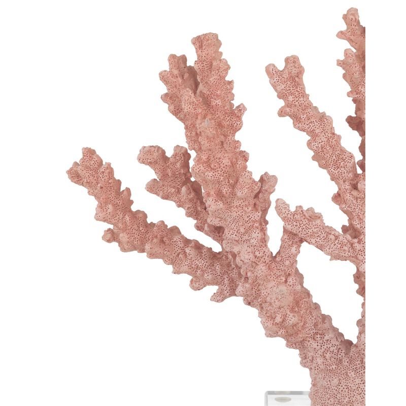 Coral Figurine by Currey & Company