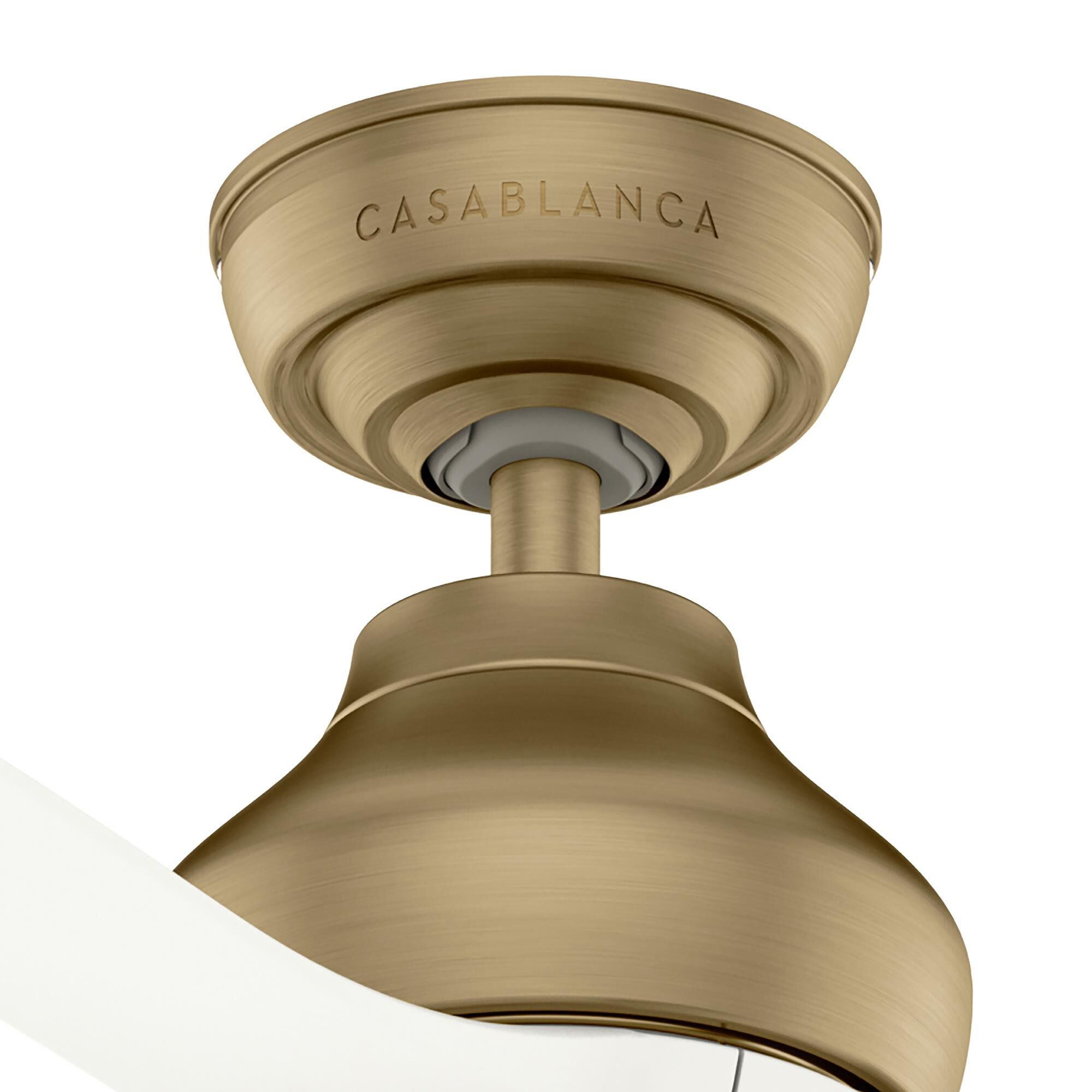 Eyla 52 Inch Ceiling Fan by Casablanca Fan Company