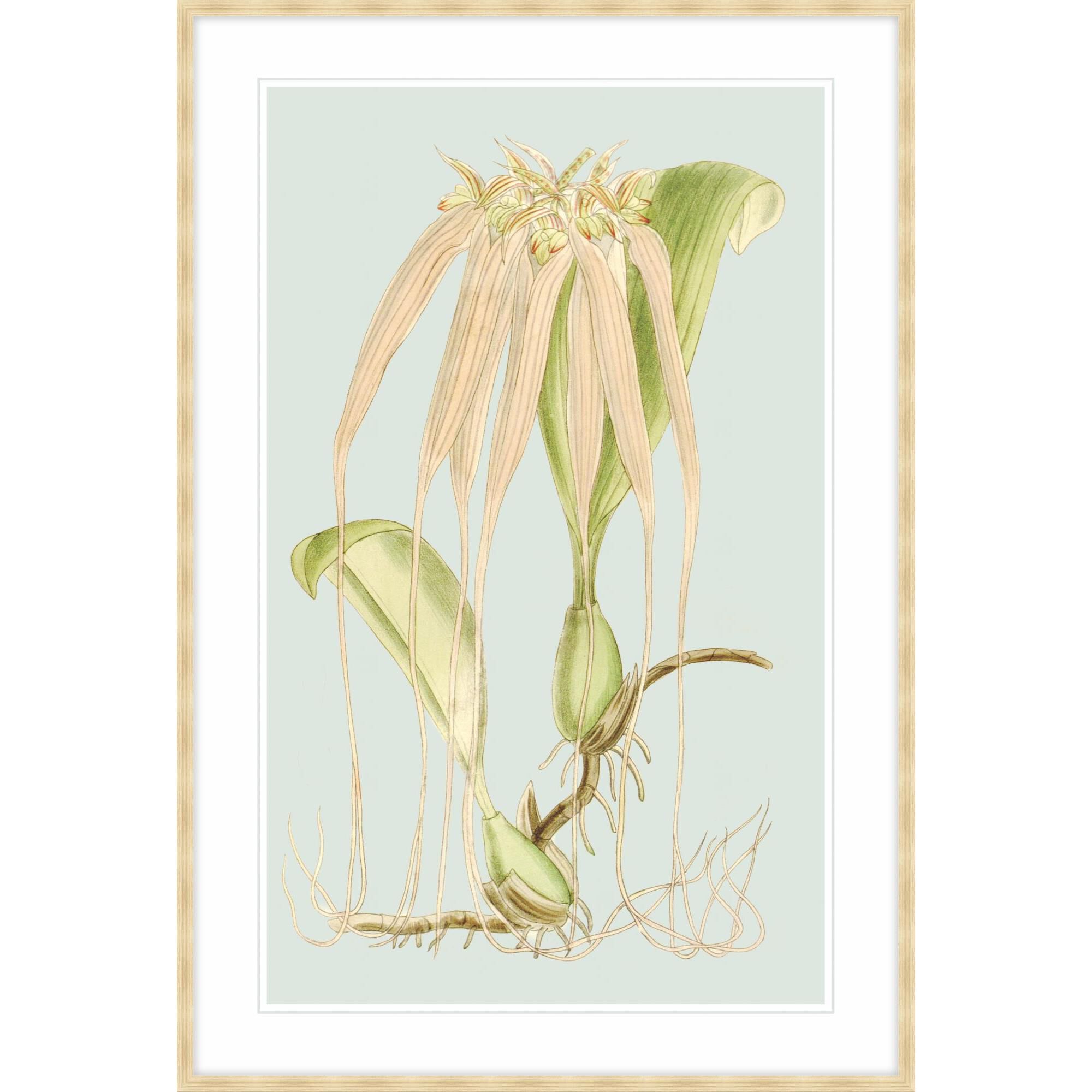 Studio L57 Nouvelle Forget Me Not Print by LEVEL57